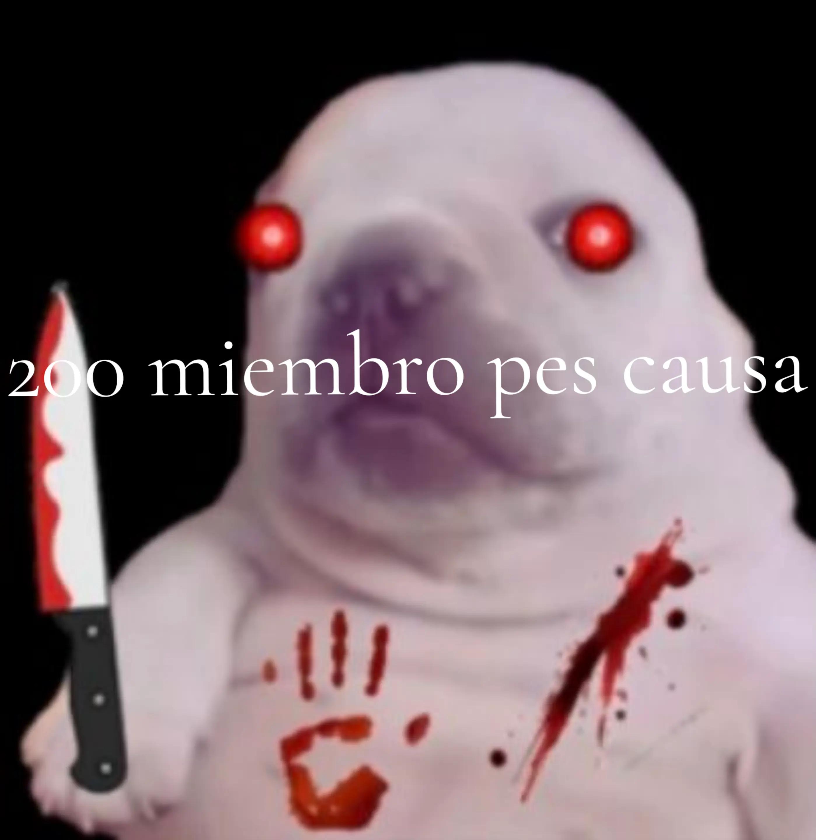@𝑀𝑜𝑛𝑡𝑒𝑟𝑟𝑒𝑦 𝐵𝑙𝑎𝑐𝑘?