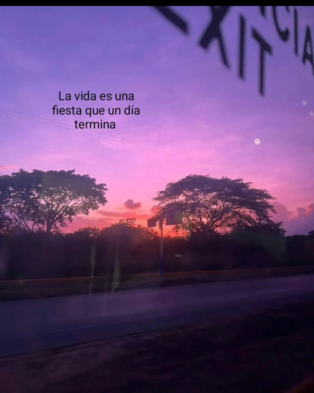 @Dariiii🦥