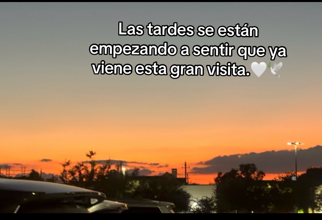 @Elisa🦋🌸🍒