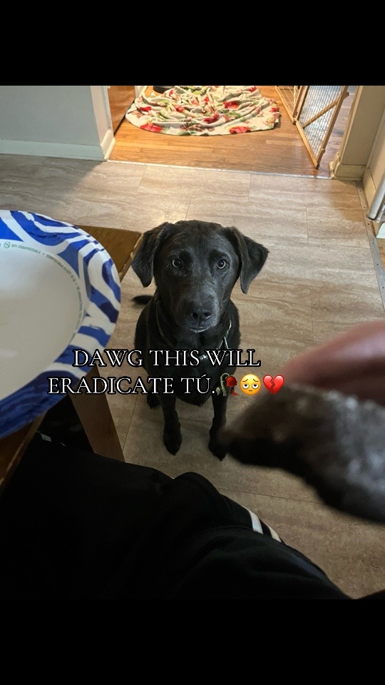 @𝒦ℐℒ𝒪𝐁𝐘𝐓𝐄!?
