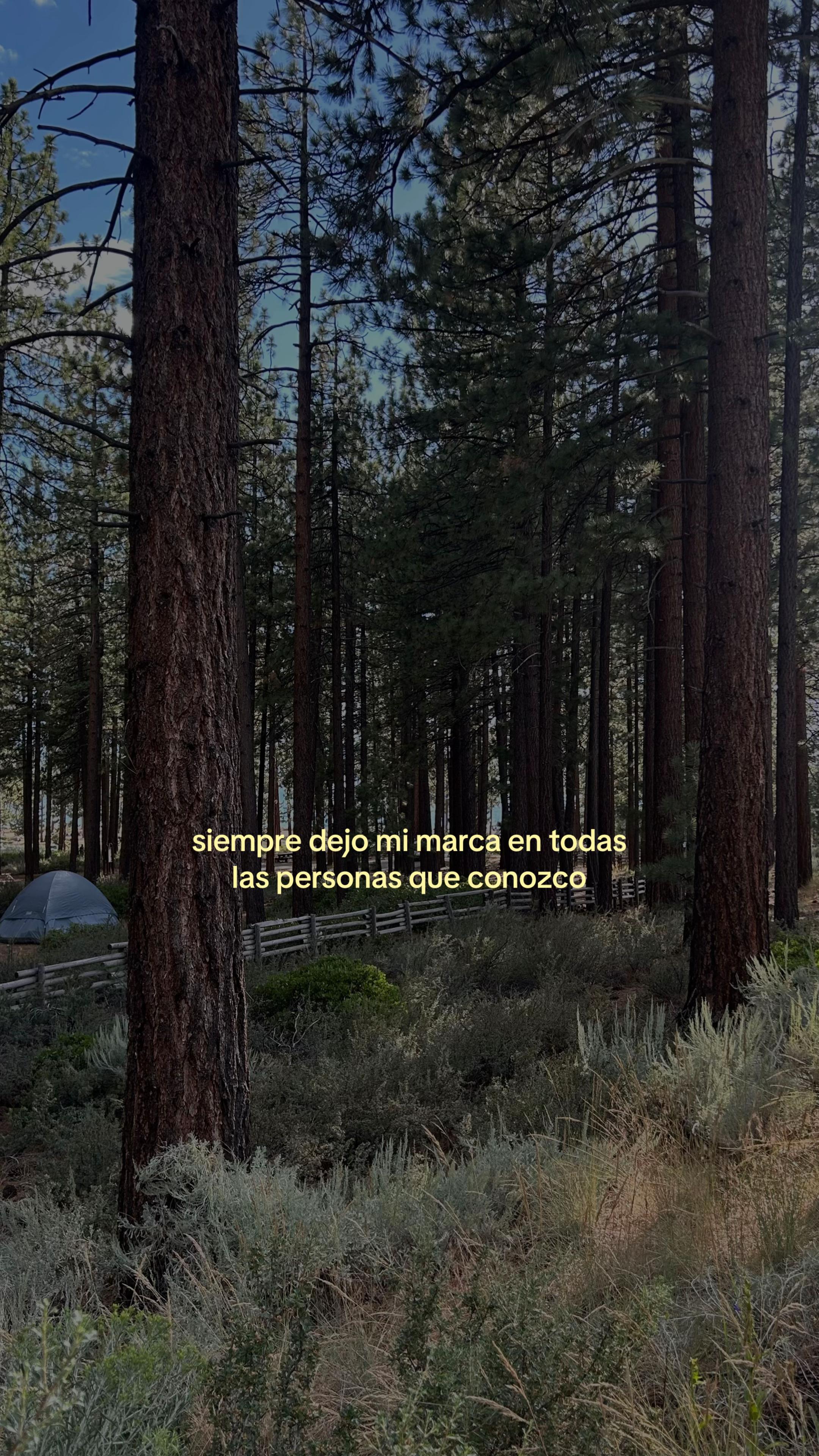 @Miranda ✰