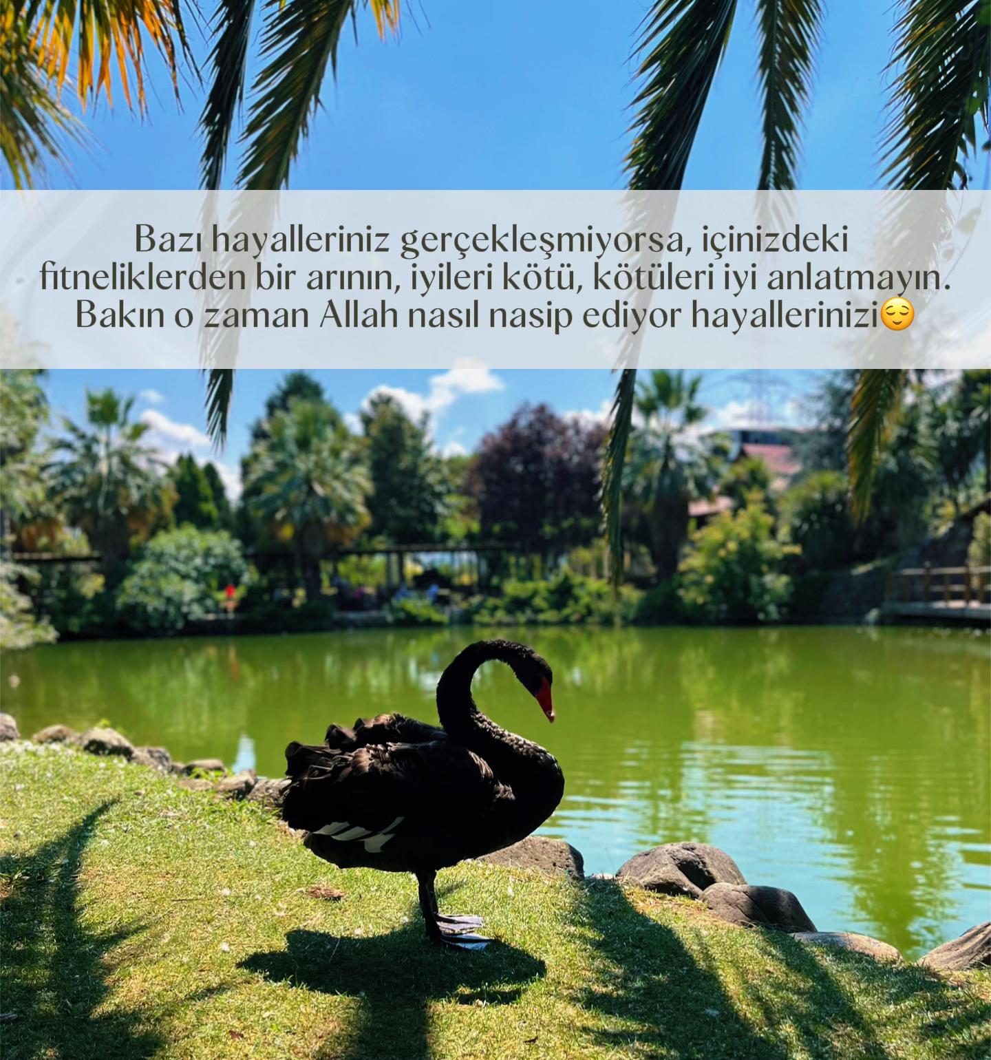 @Kahvefelsefesi☕️