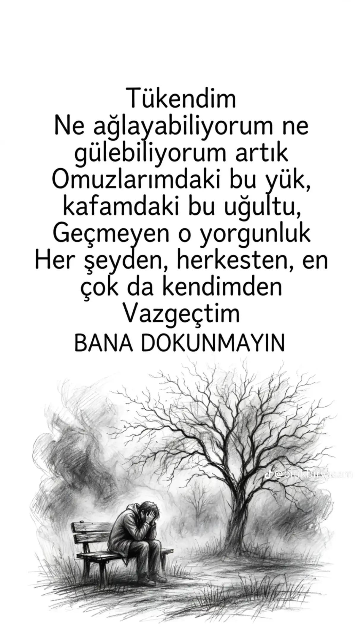 @sibel_ramoo_aski