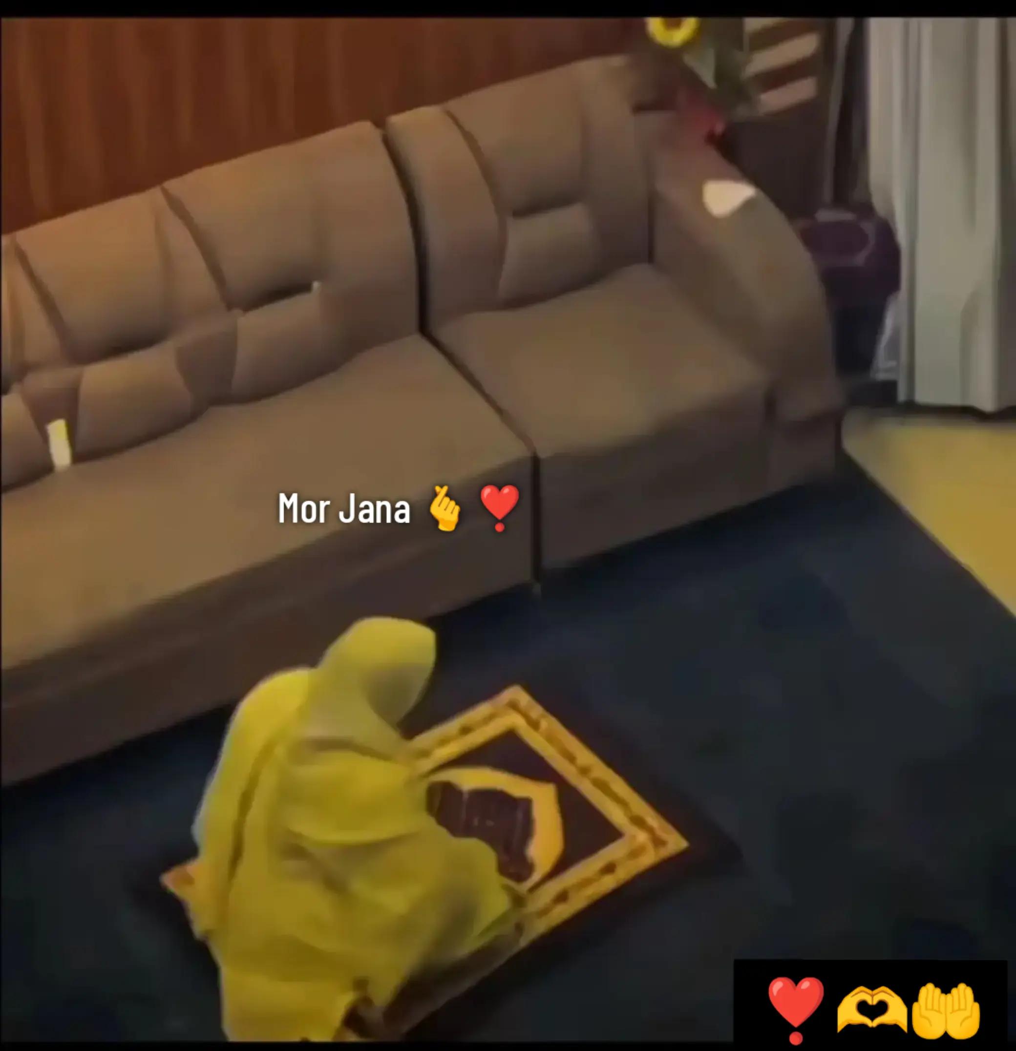 @🫰🍂 نظام گلی سیٹ 🚩🫰