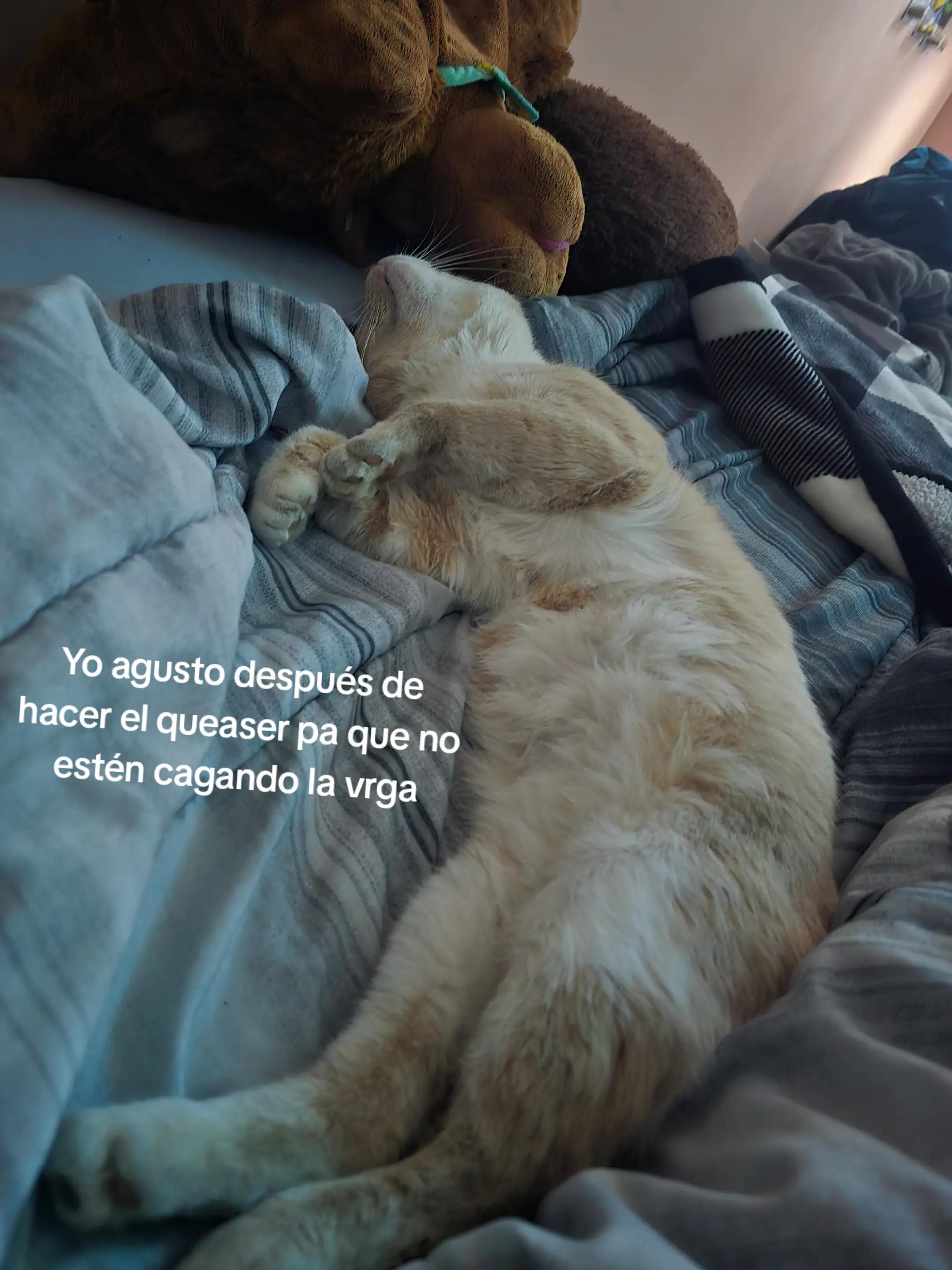 @️☆ 𝔈𝔑&real;&image;𝔔𝔘𝔈 ♡