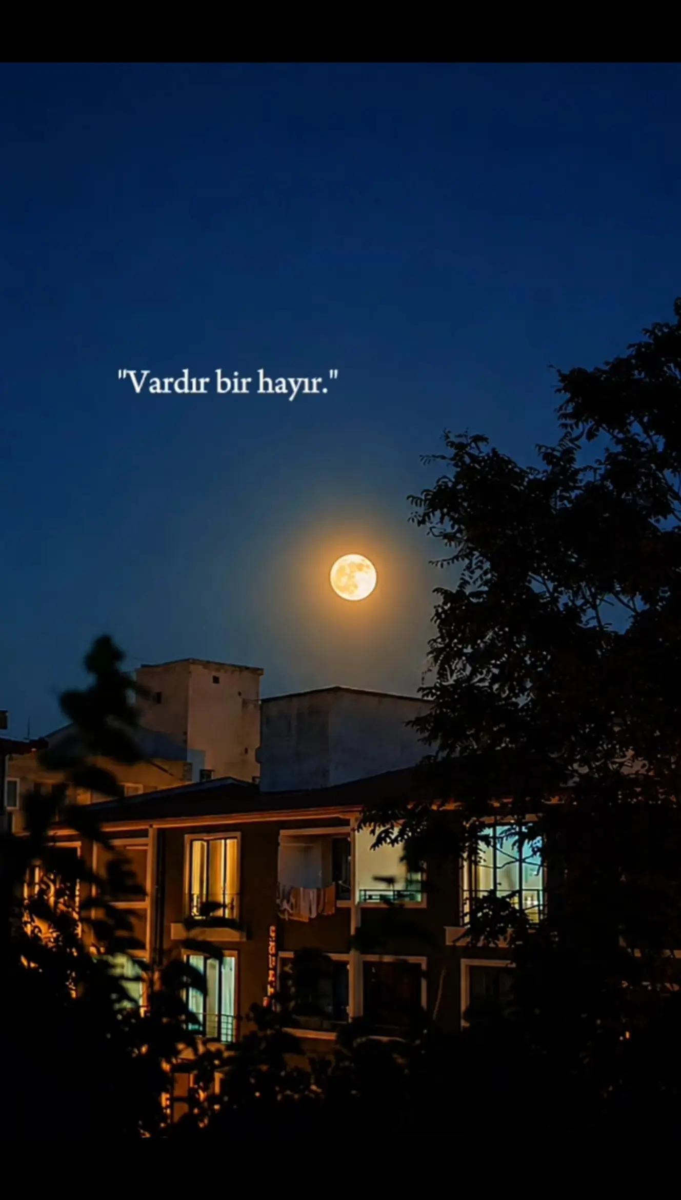 @Dadaş