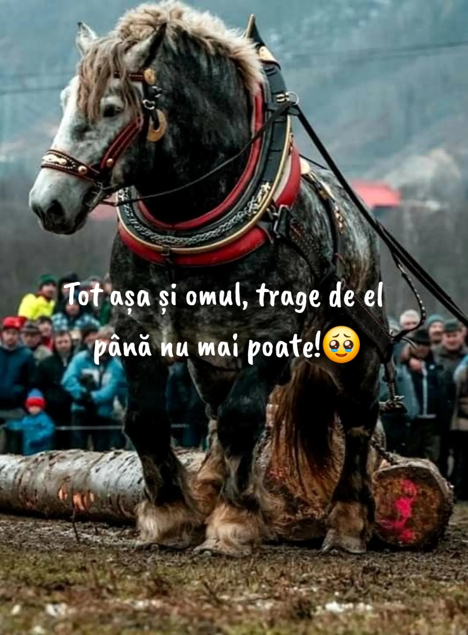 @fărănume