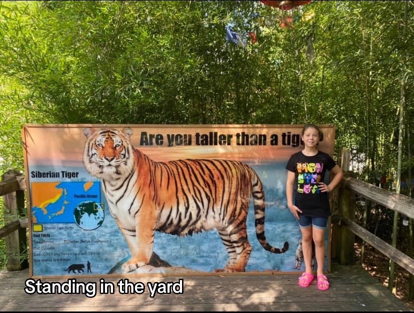 @Alyssa_the_besttt