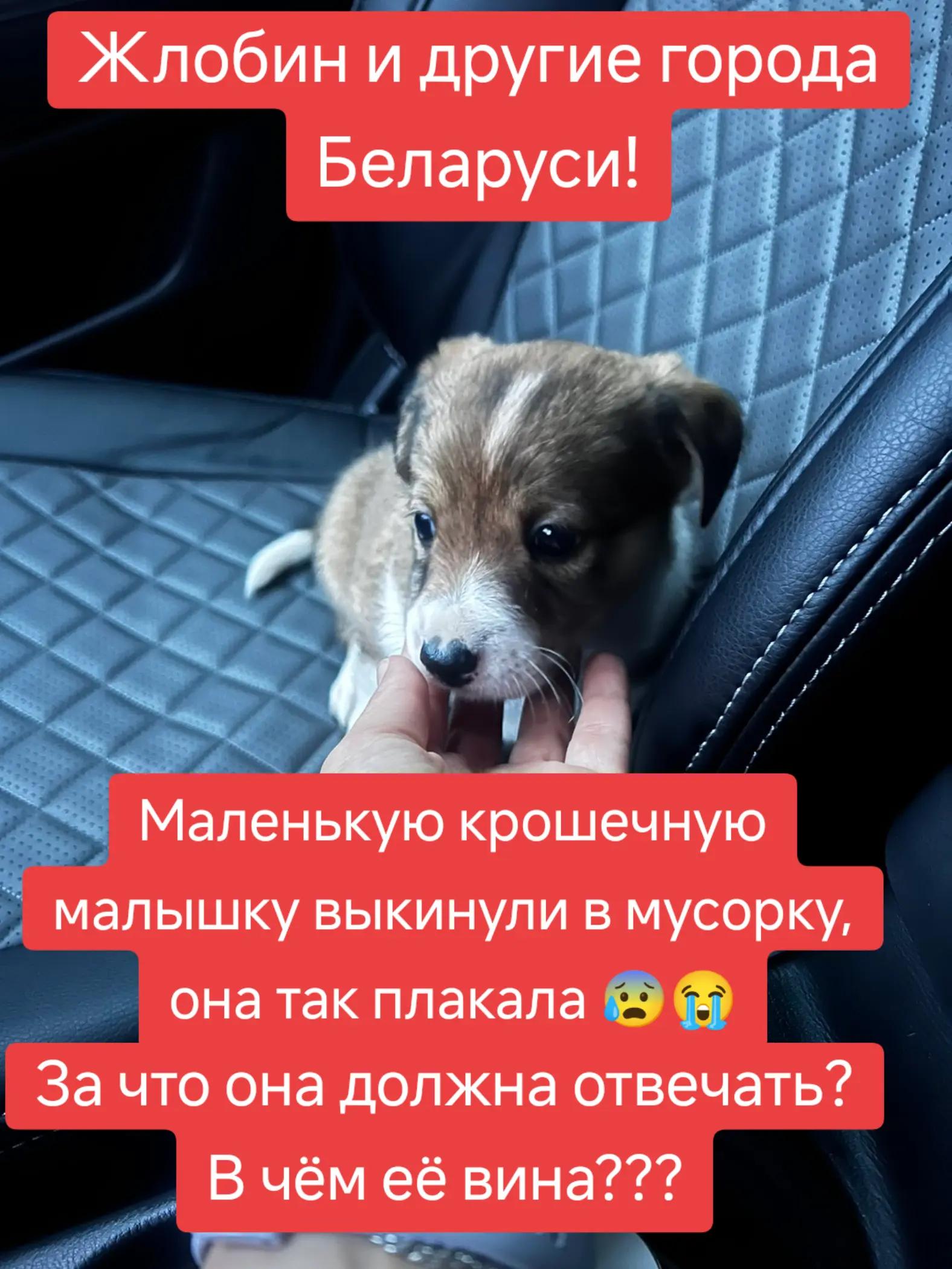 @Светлана Козлова