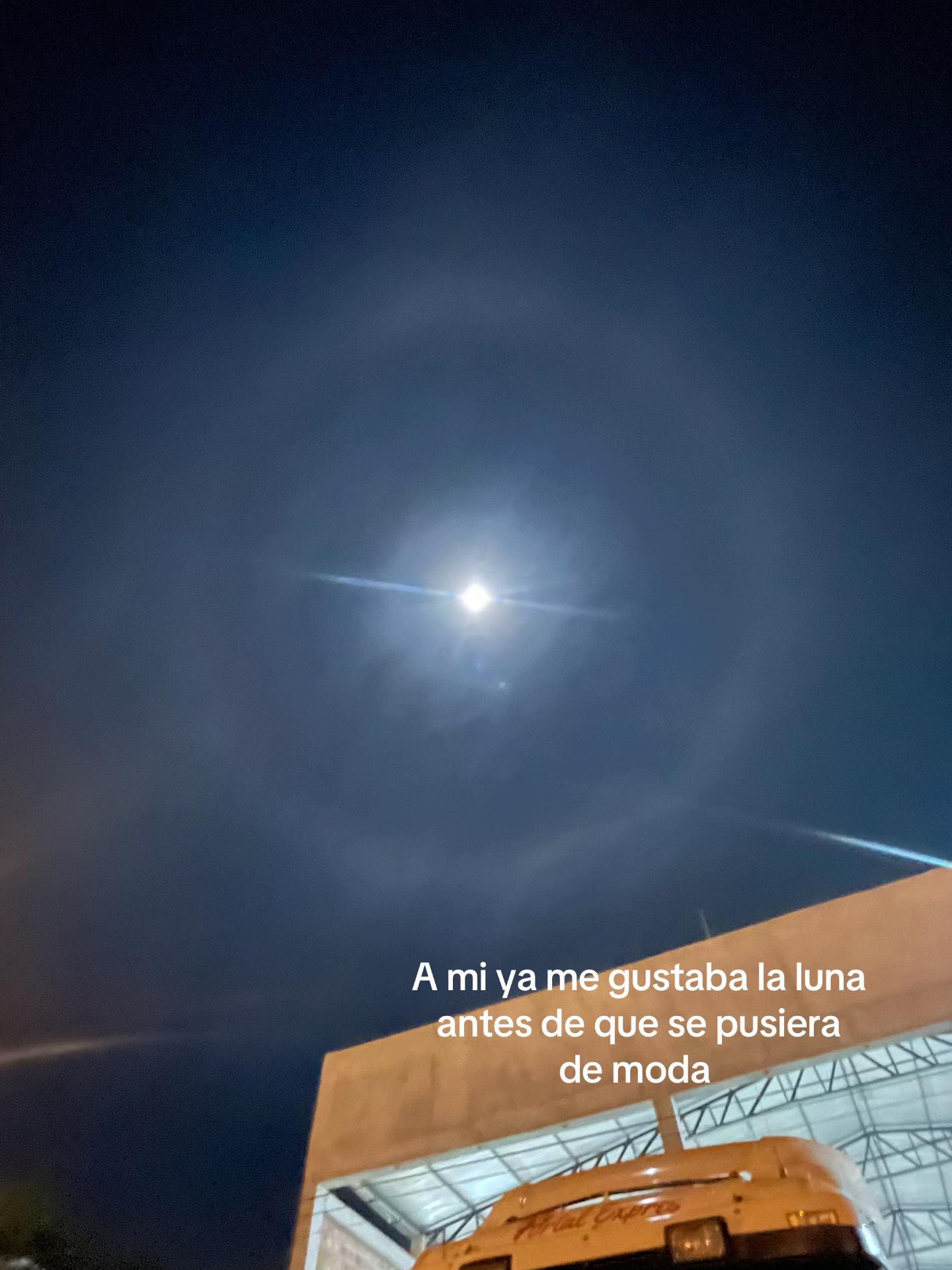 @Antonella Marecos