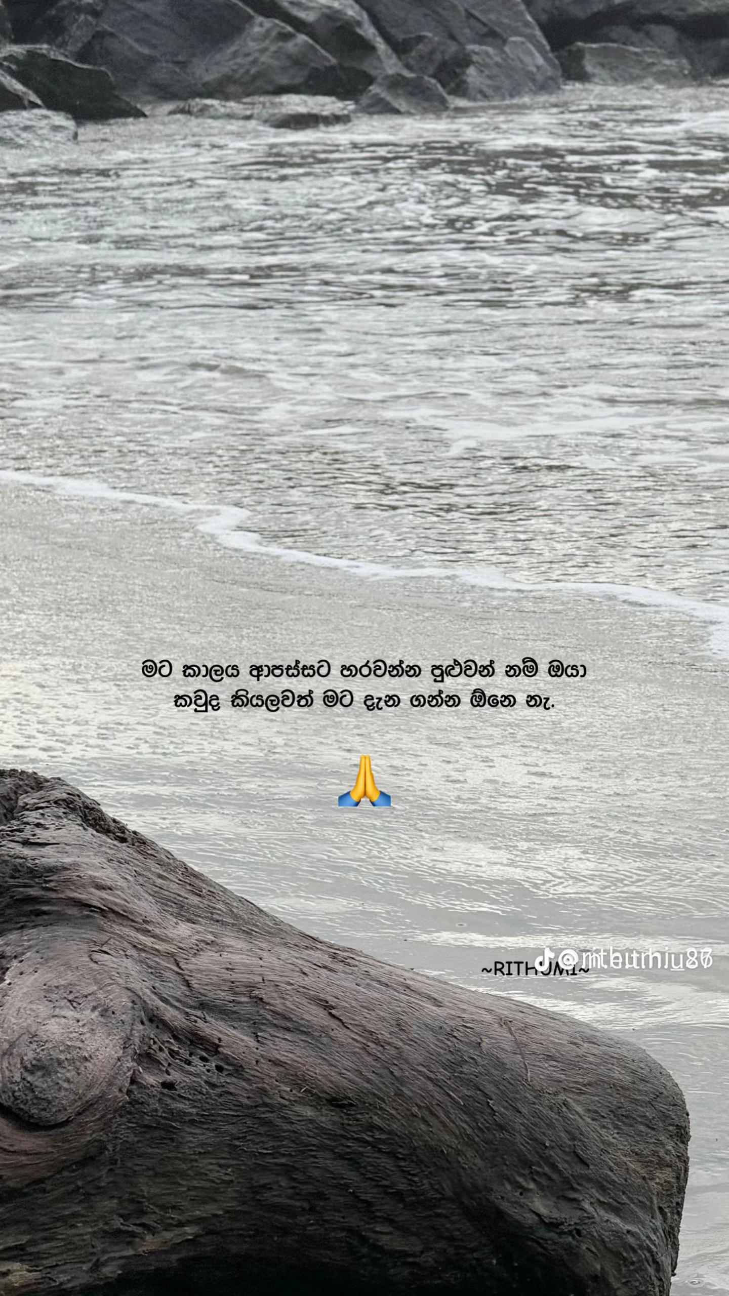 @ටානියා >•🧚♀🇱🇰 🇰🇼