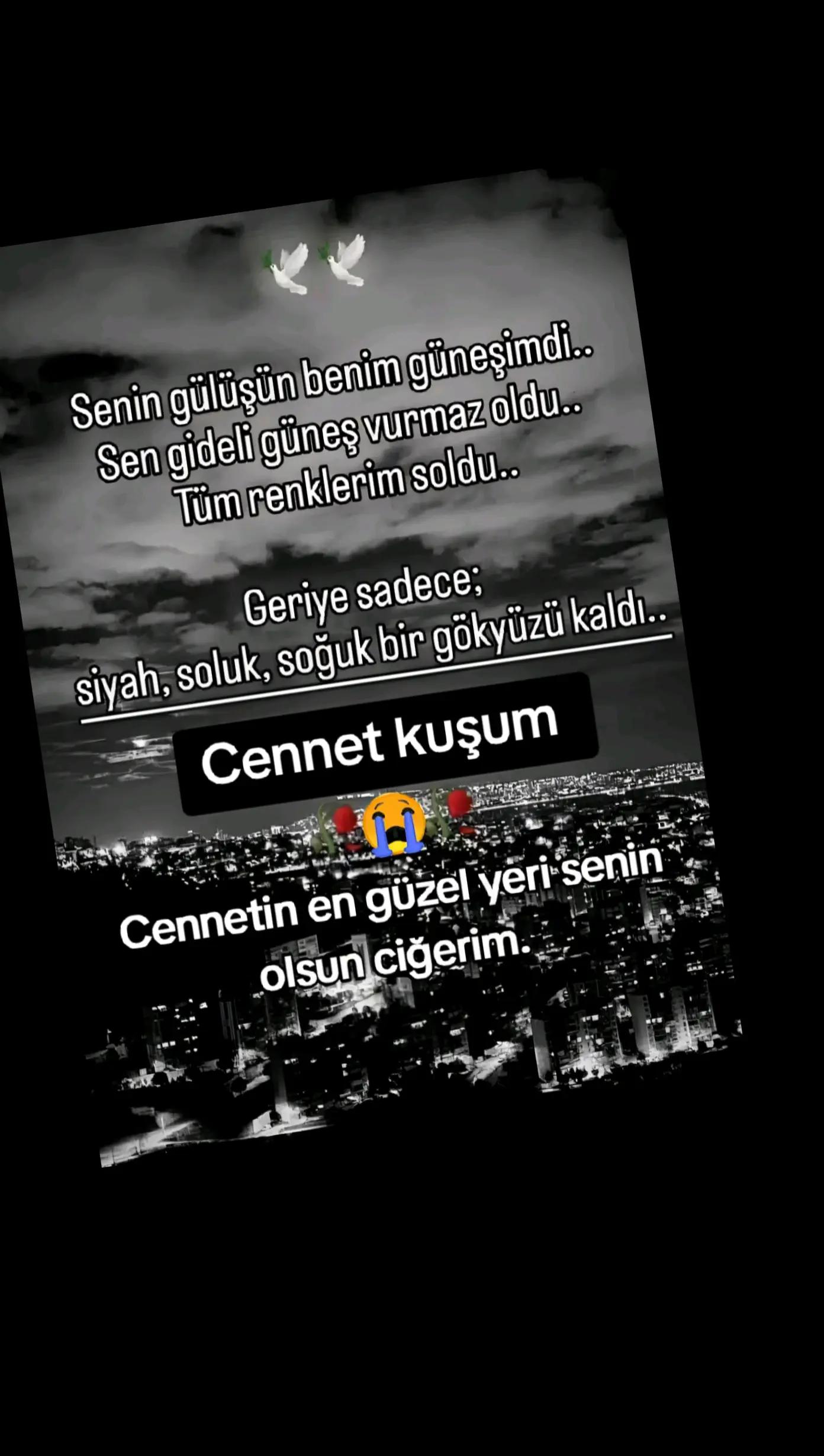 @papatya
