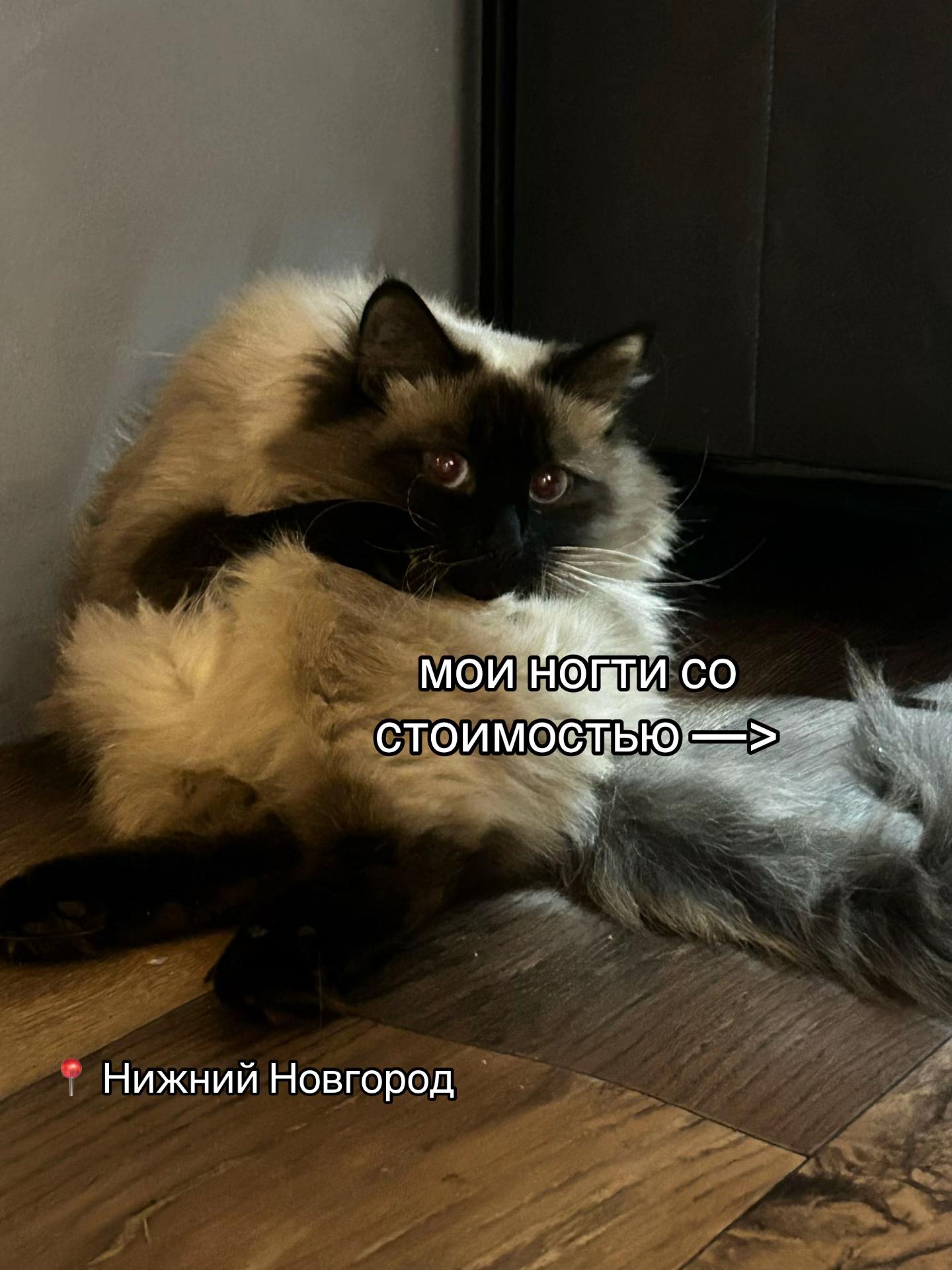 @ТГК: mortynails ☆