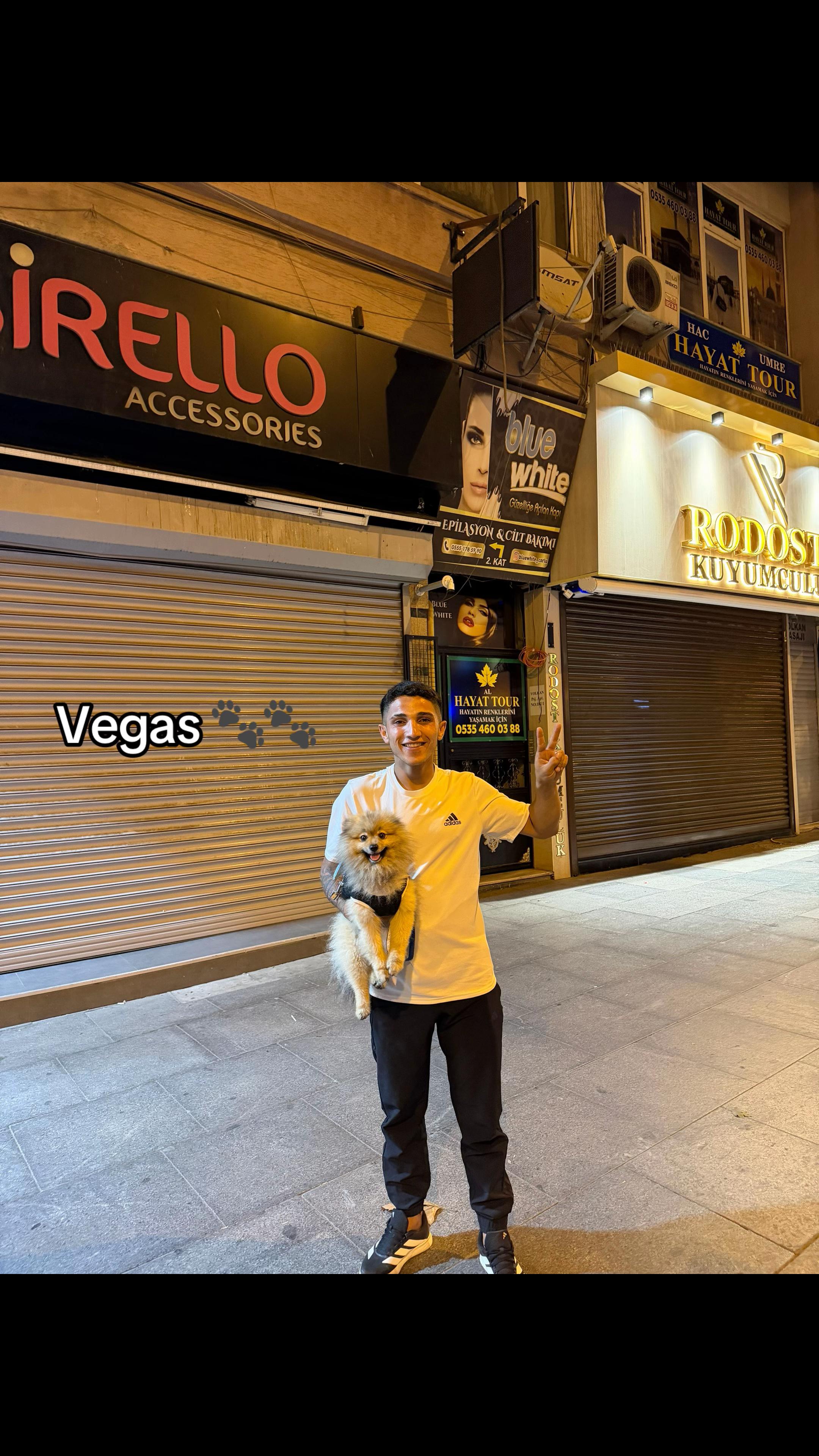 @Berkan 🦁