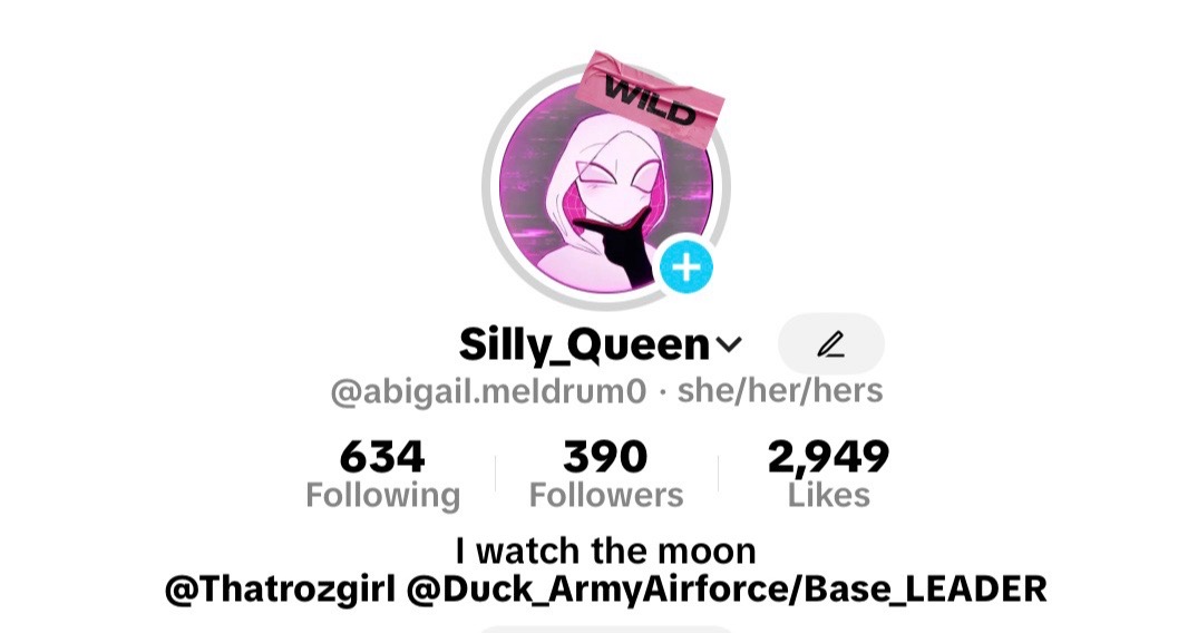 @Silly_Queen