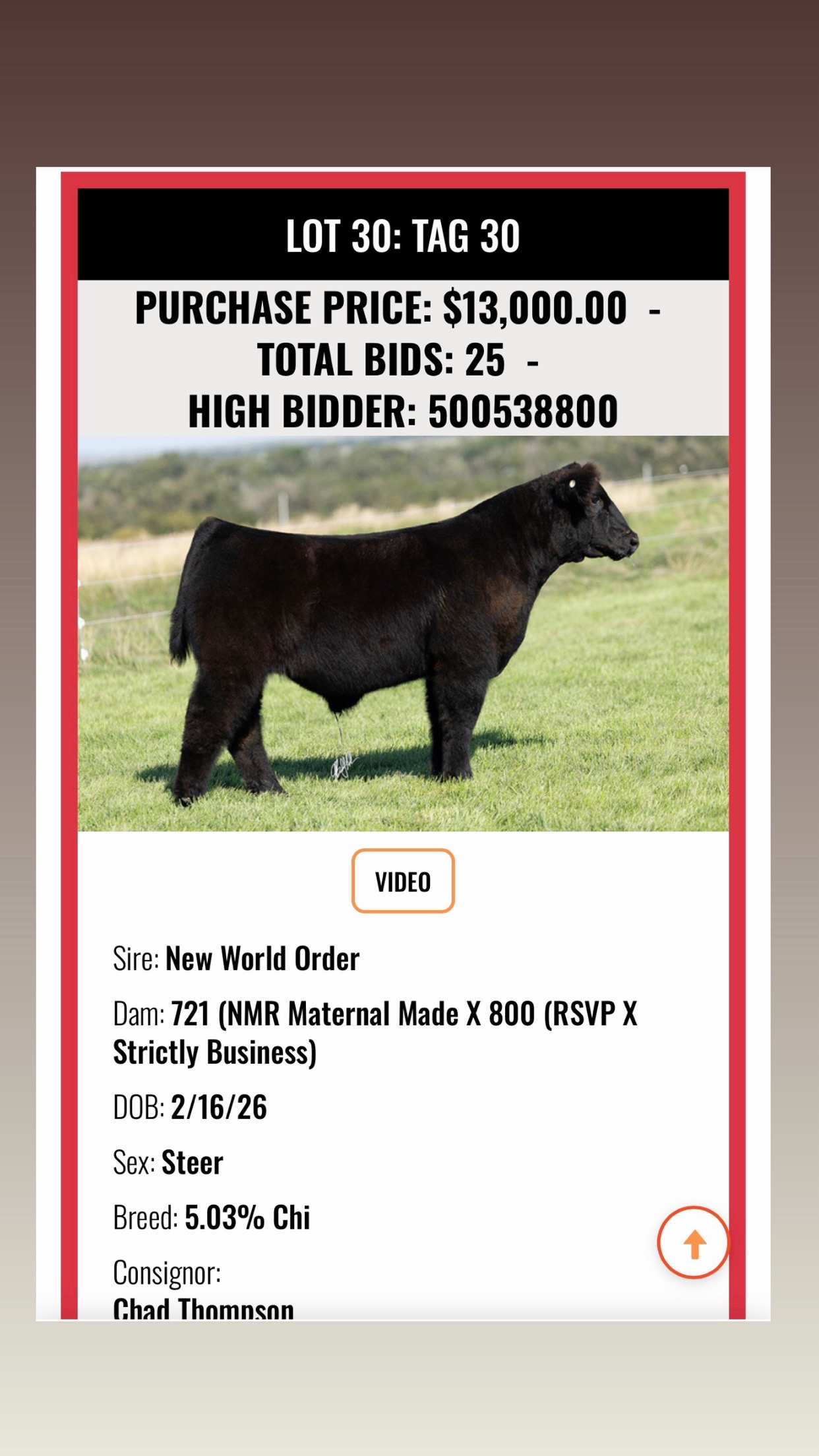 @Matt Lautner Cattle USA