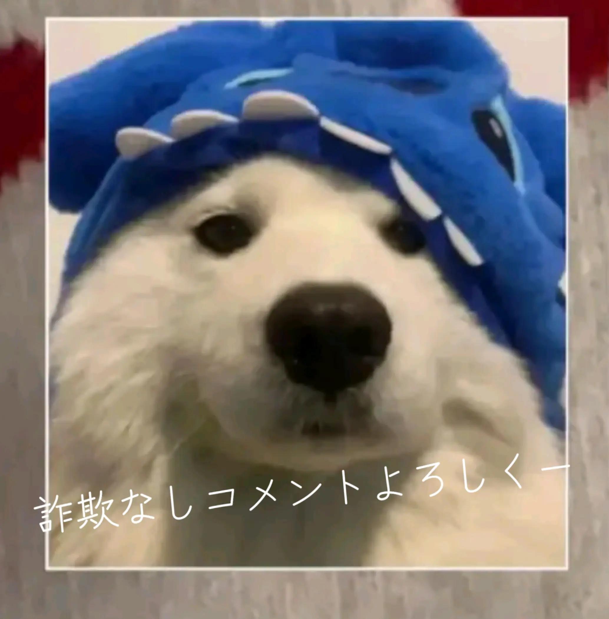 @ðïžðŸðAkitoð±ð