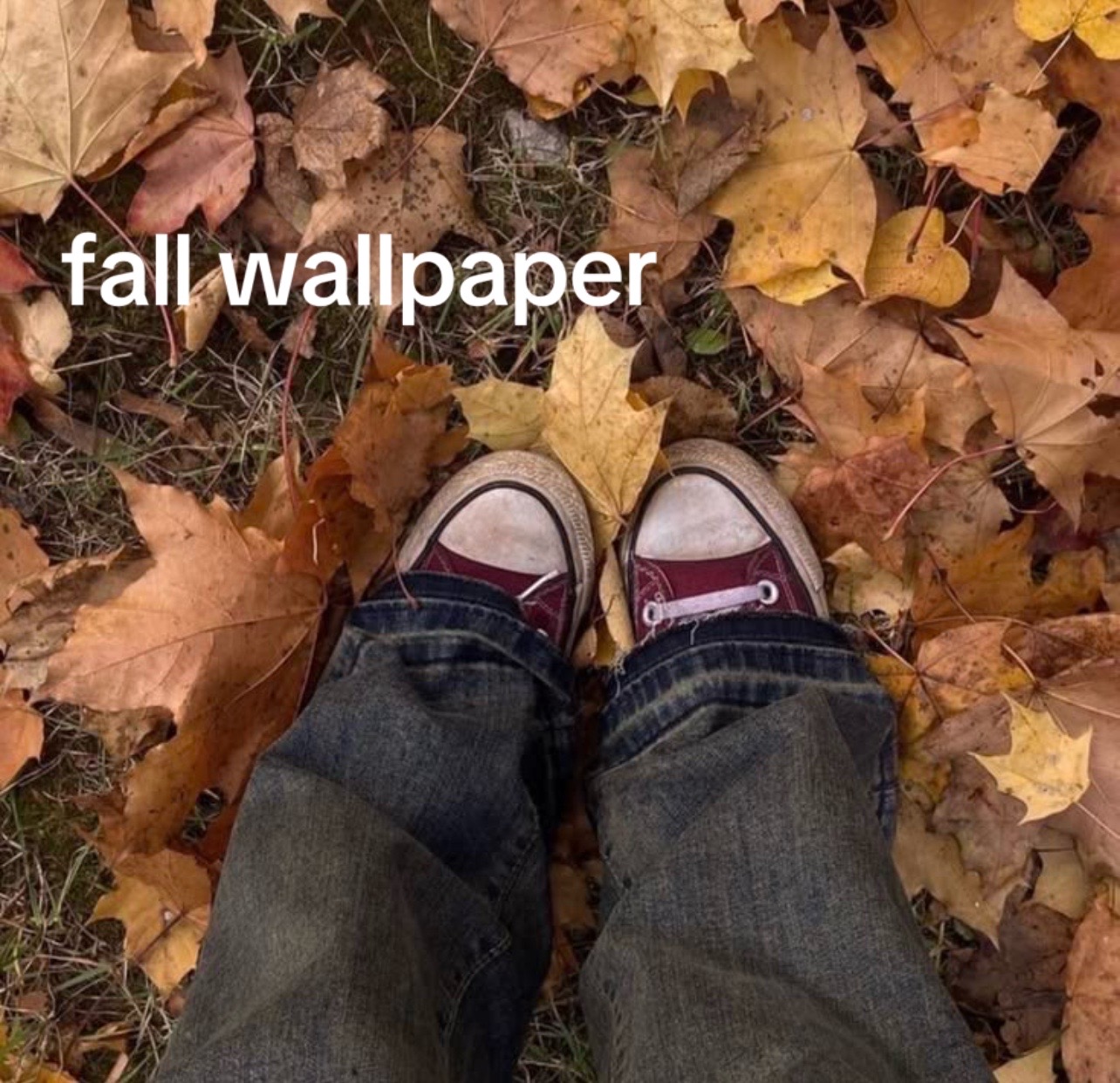 @em 🍁