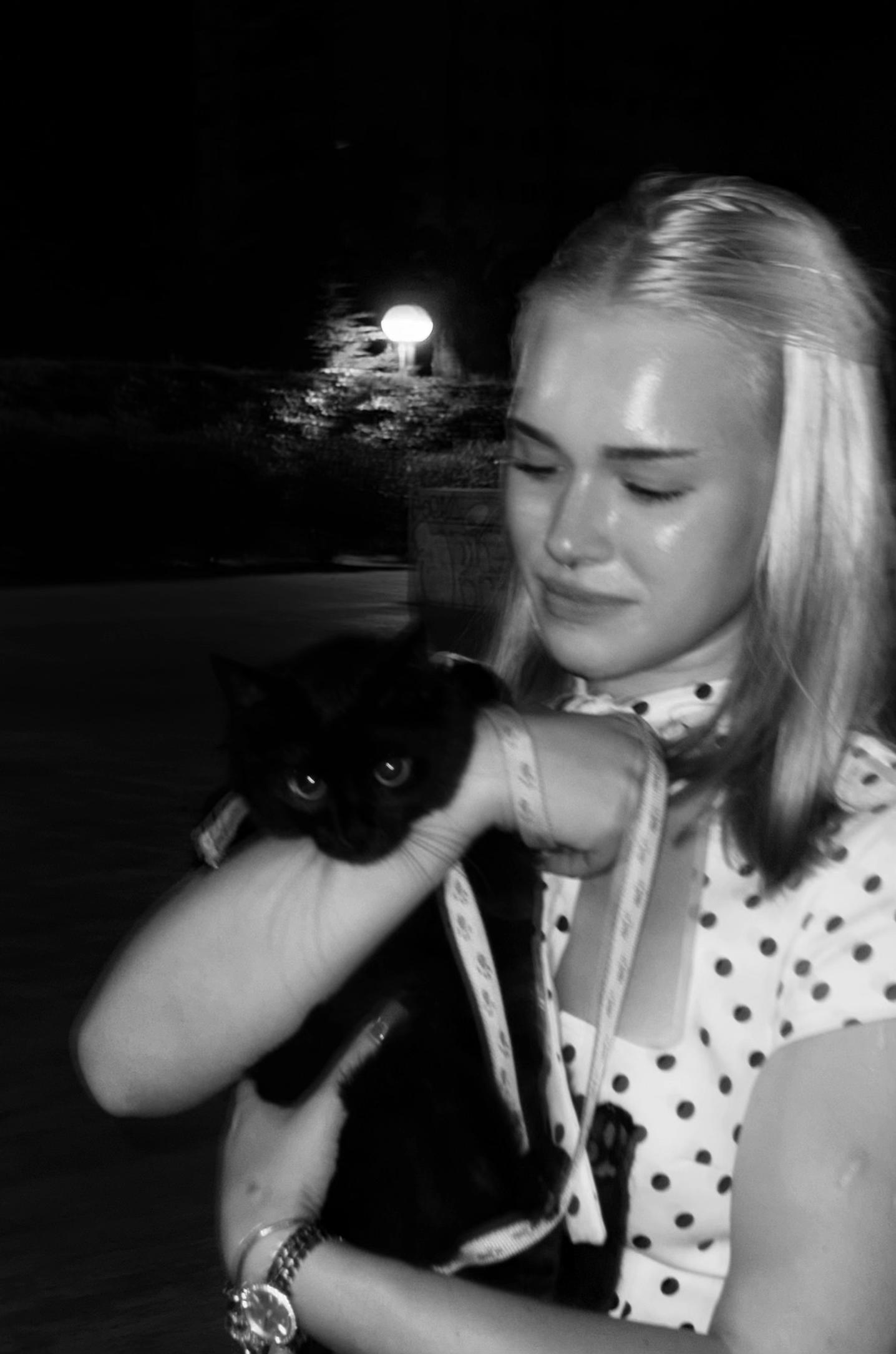 @кошка