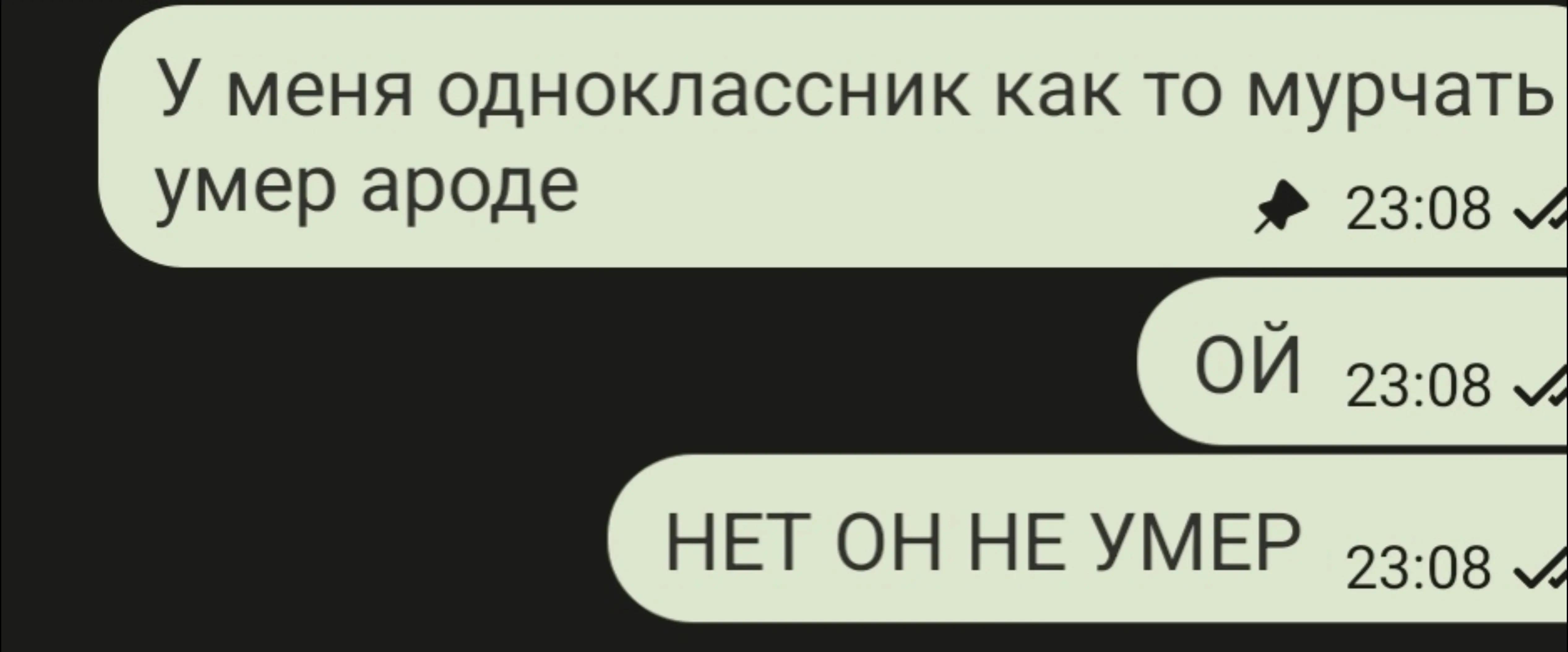 @fatcat