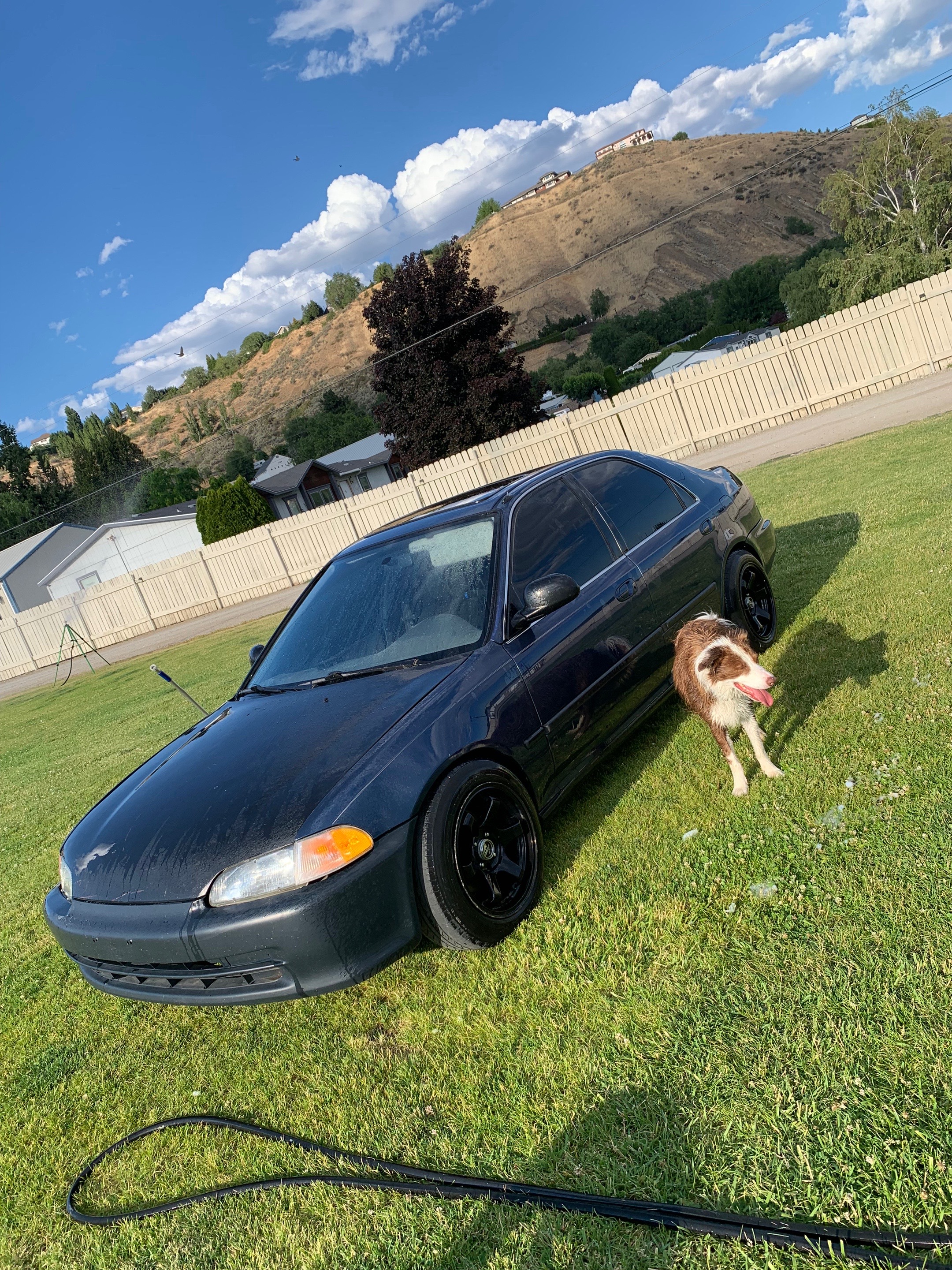 @steezy.eg