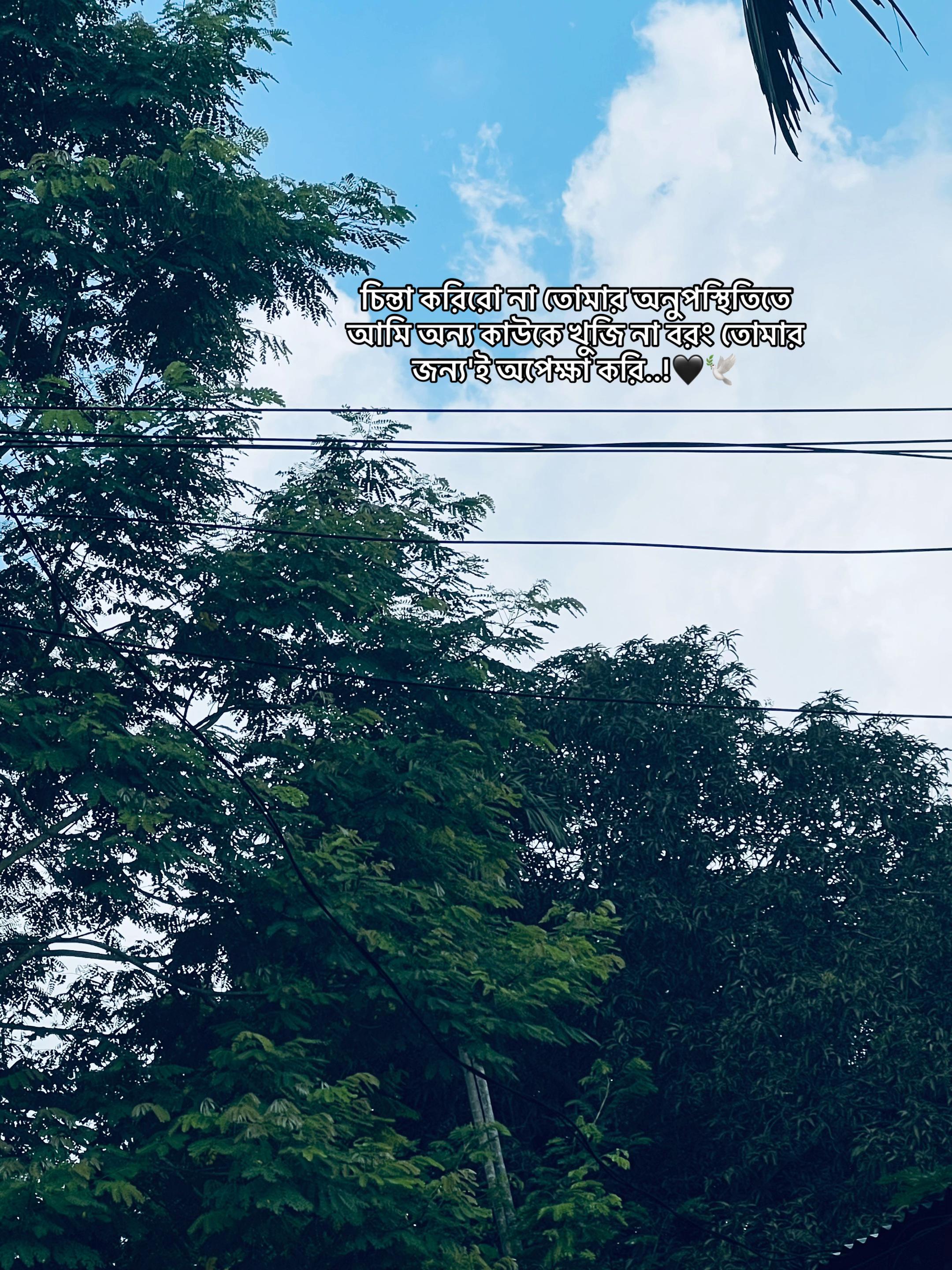 @._𝐌𝐞ꫝ𝐞𝐝𝐢._✨🙋♂️