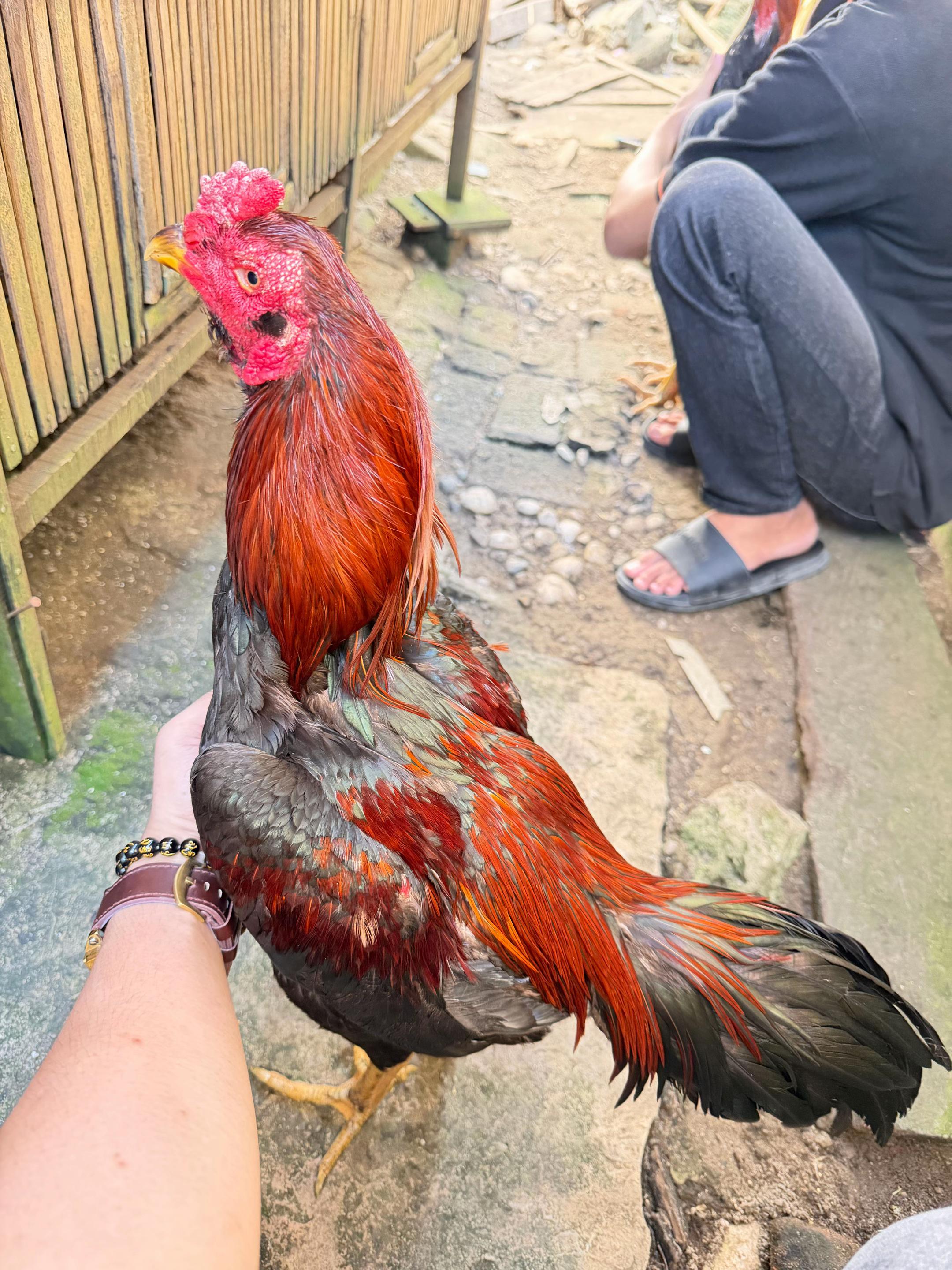 @PM/PENGUSAHA MUDAH