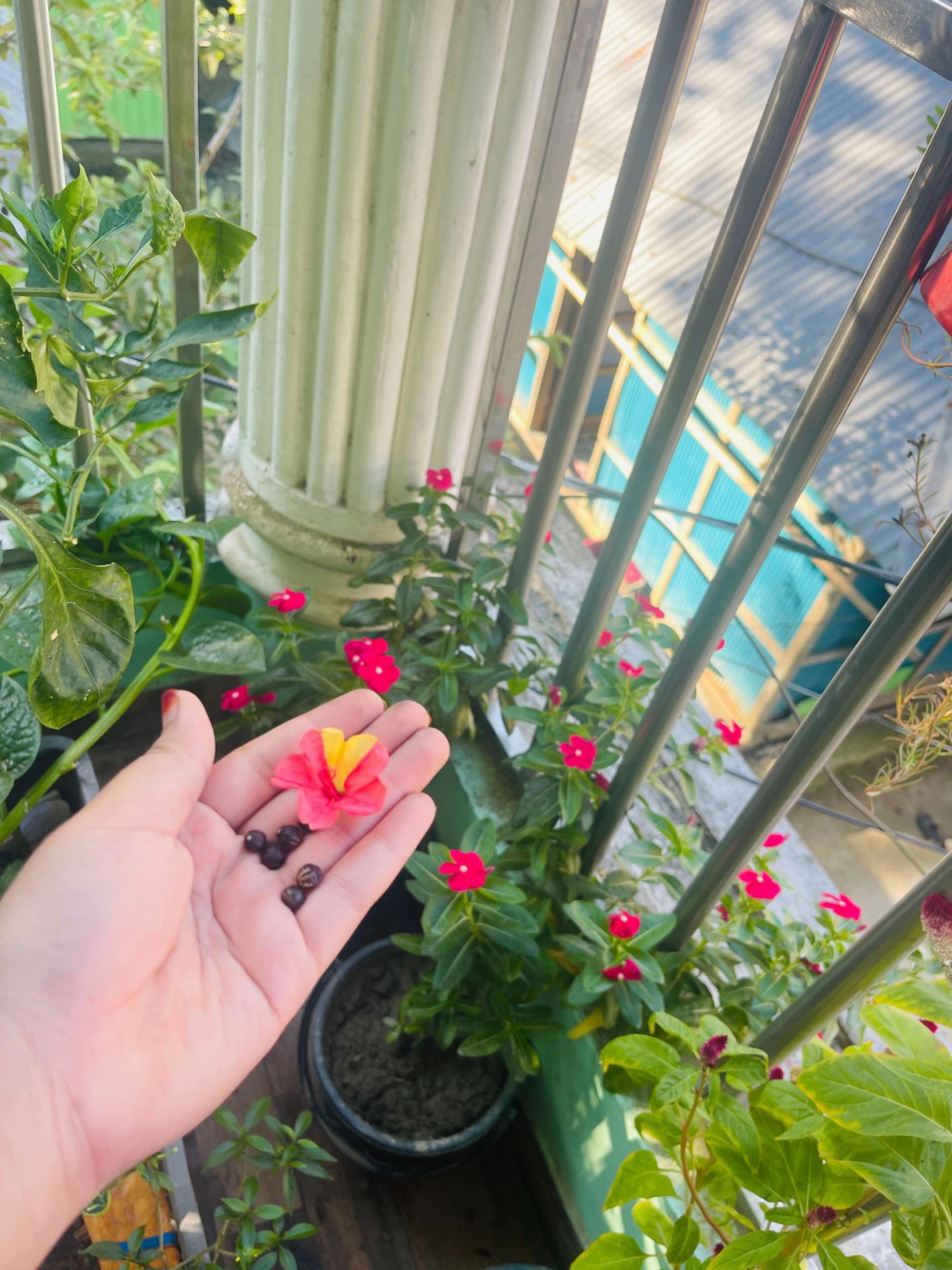 @đǎPREMAđǎ