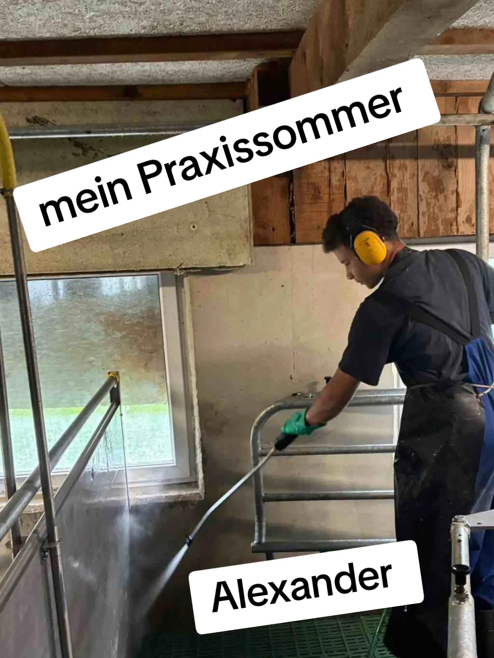 @LFS Hatzendorf
