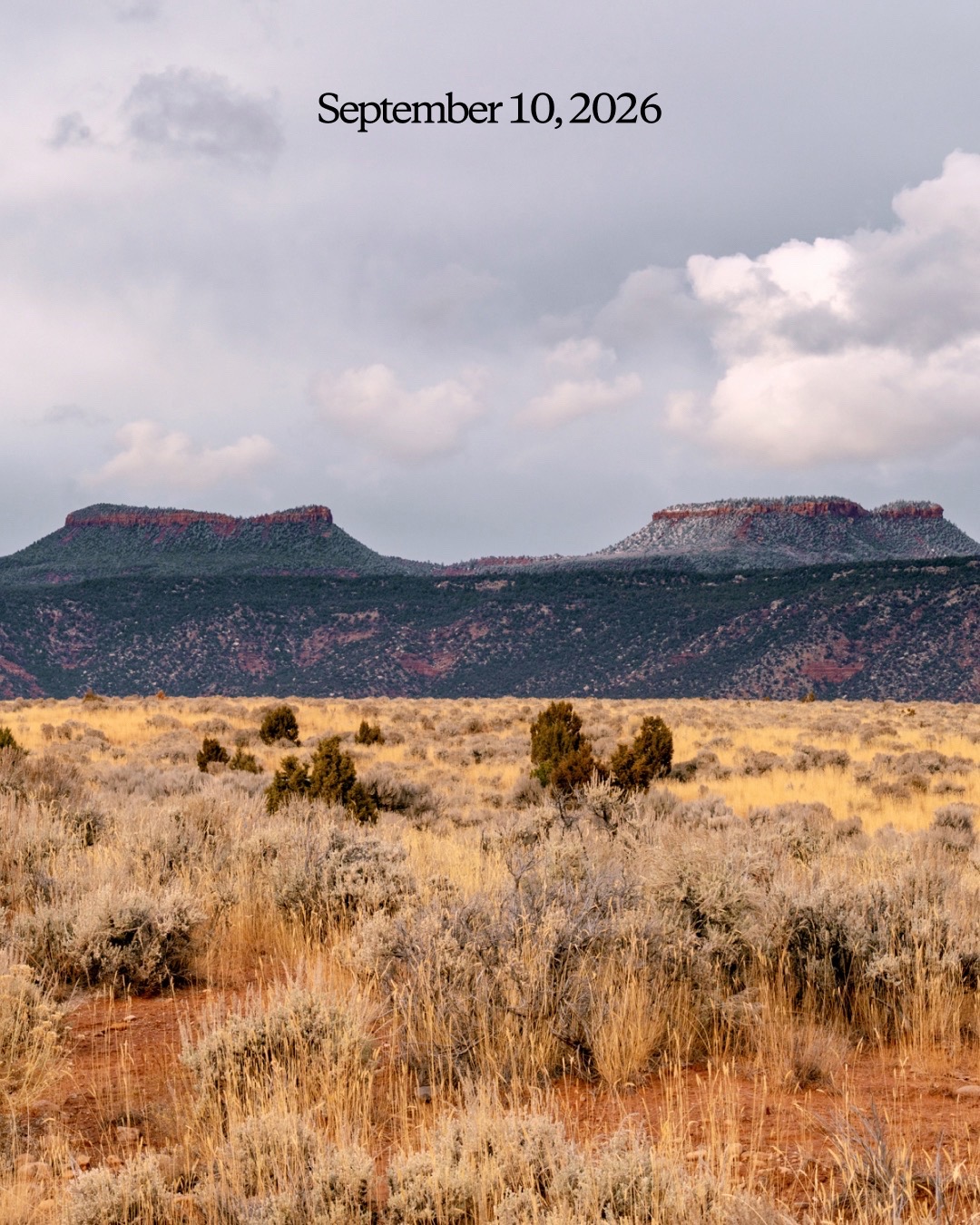 @Patagonia