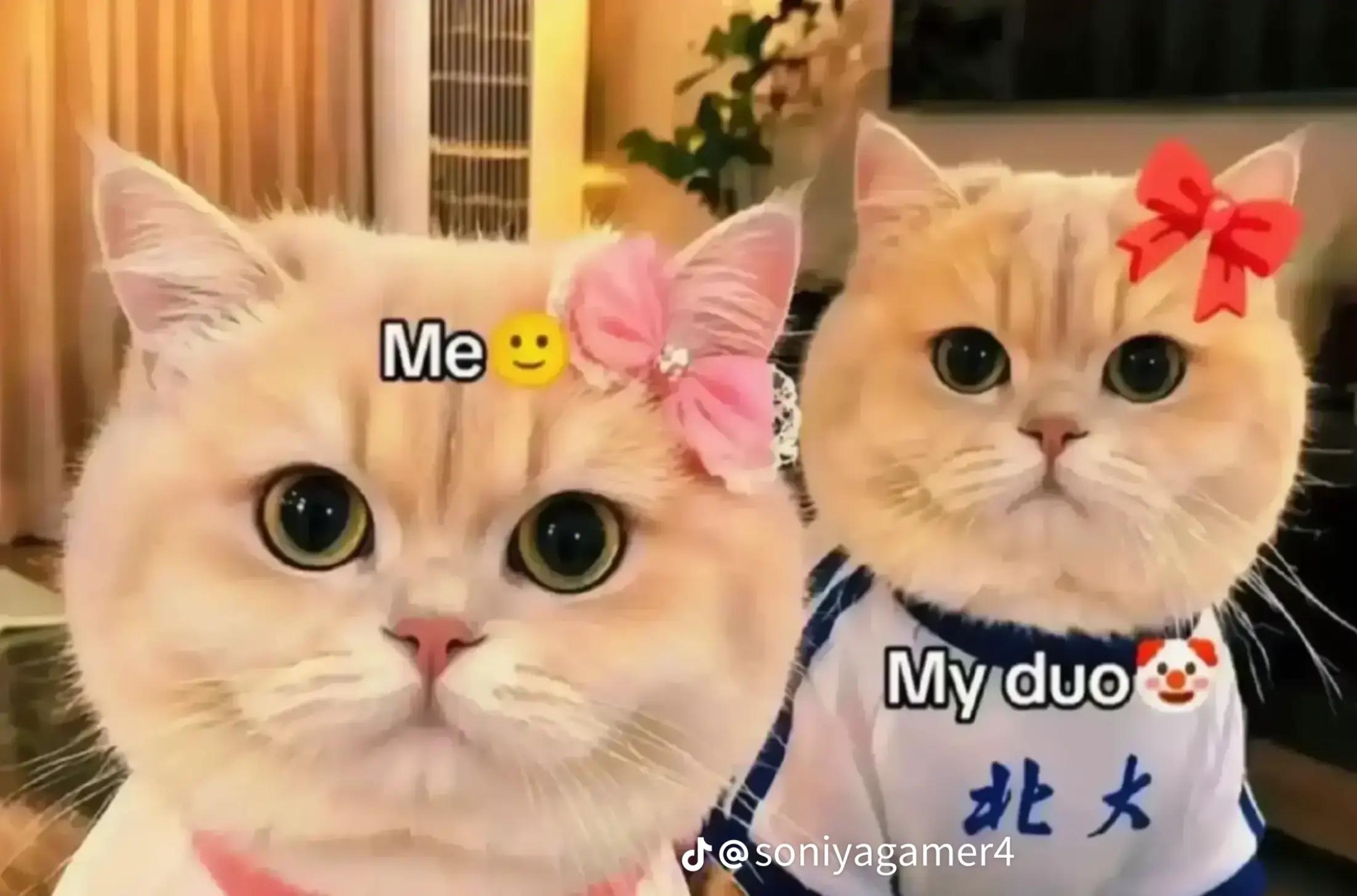 @nob_girl