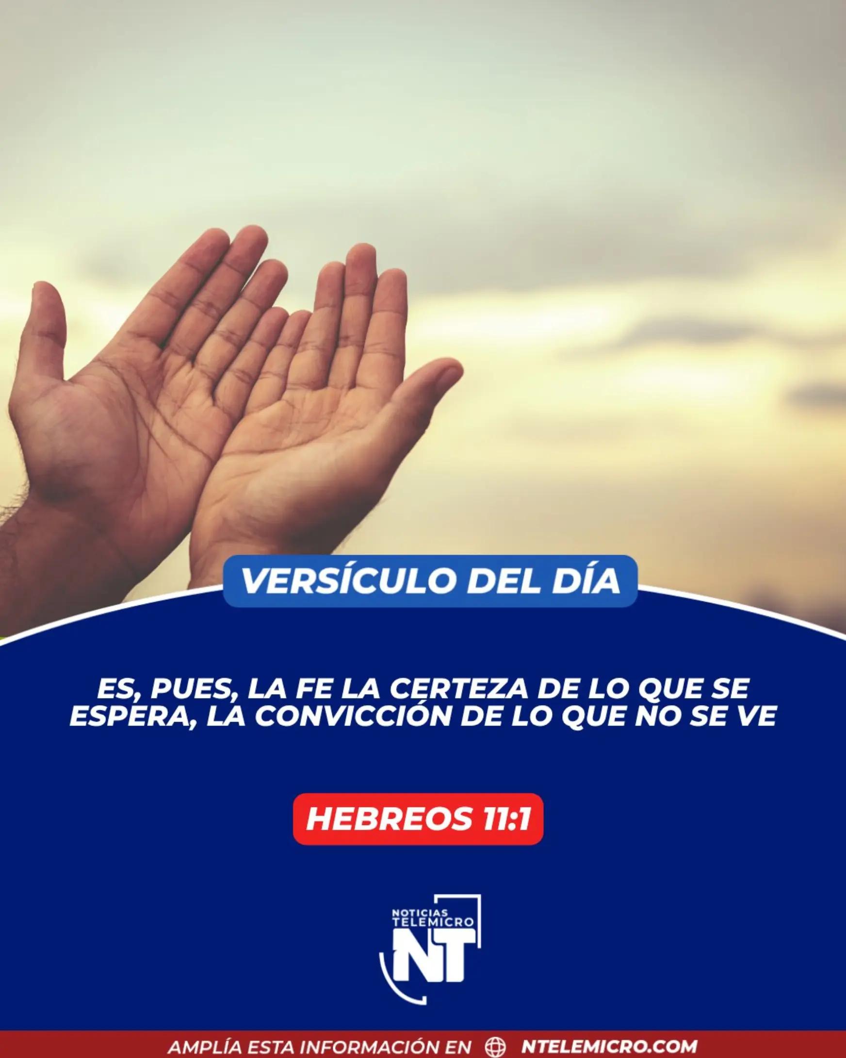 @Miguel Medina oficial