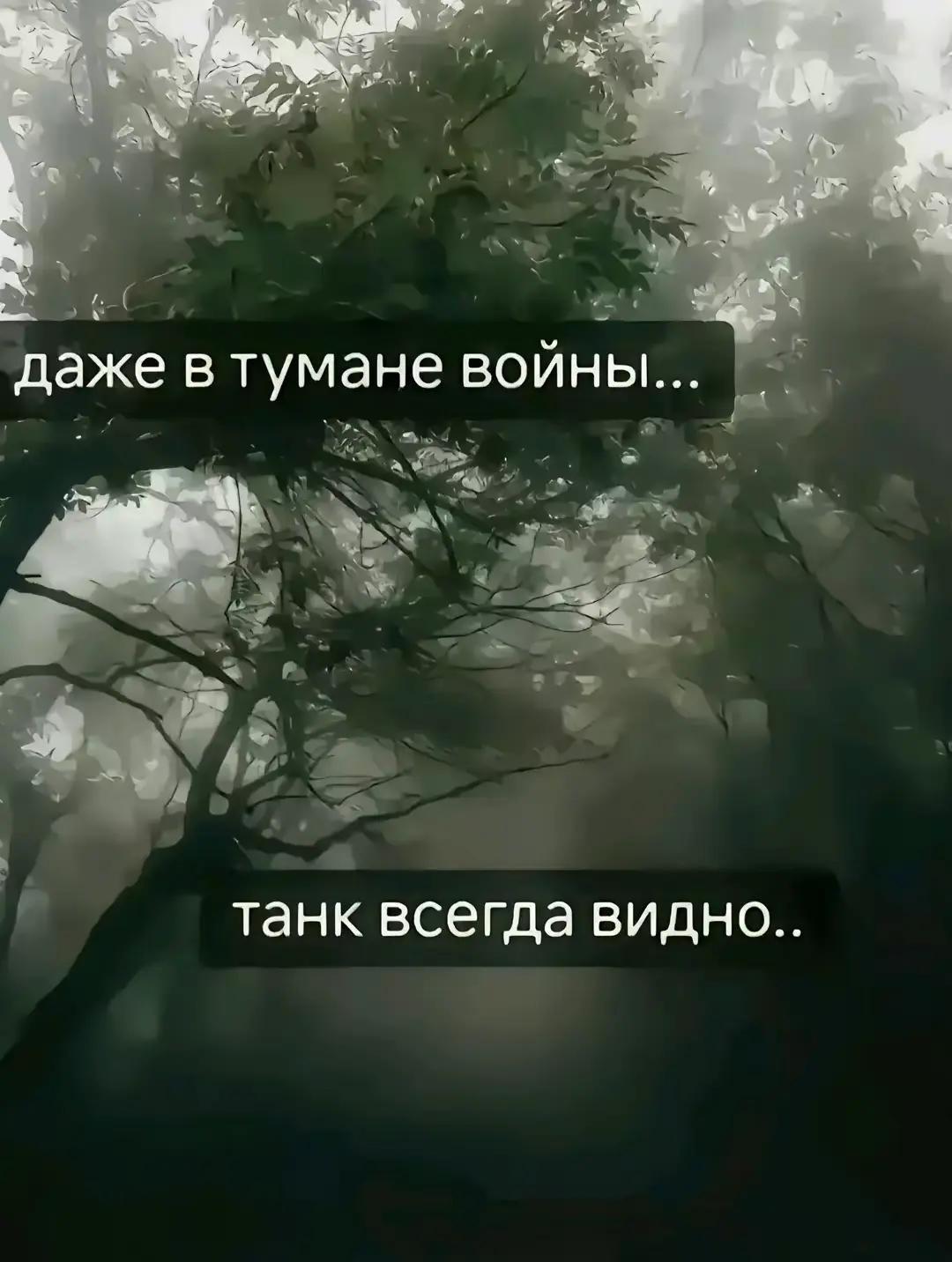 @☆Kifopsik☆