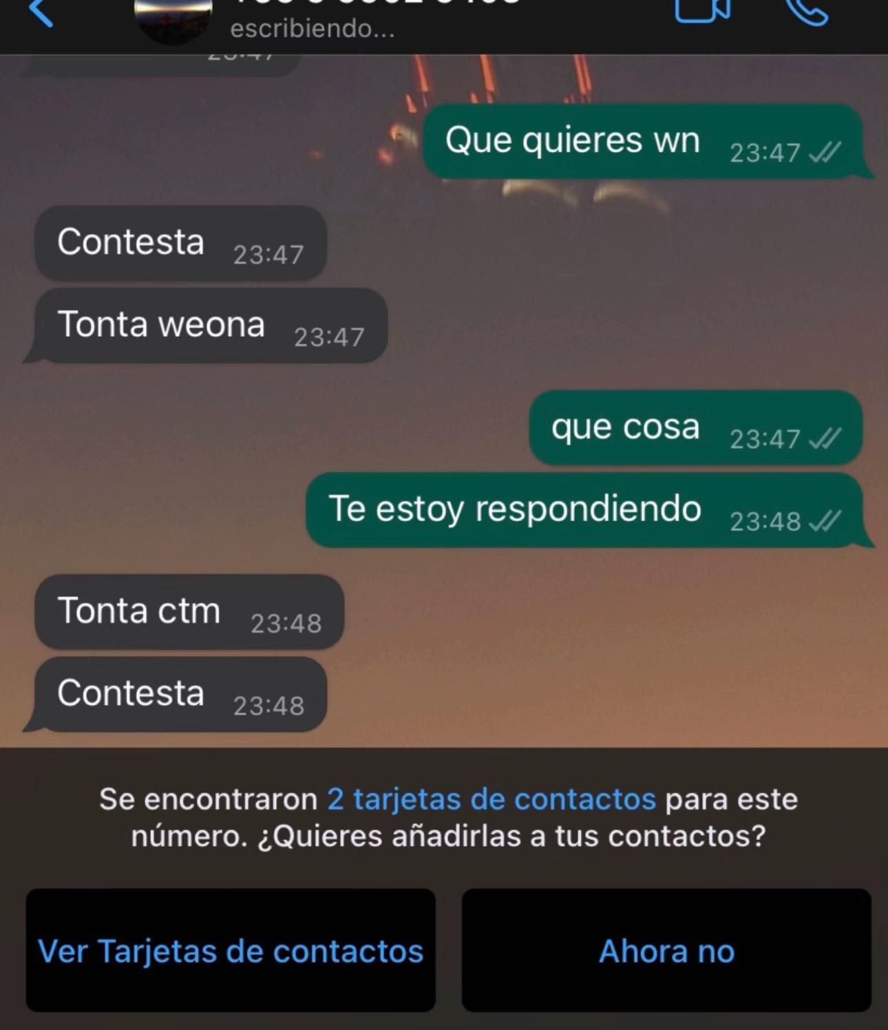 @javierapavletich