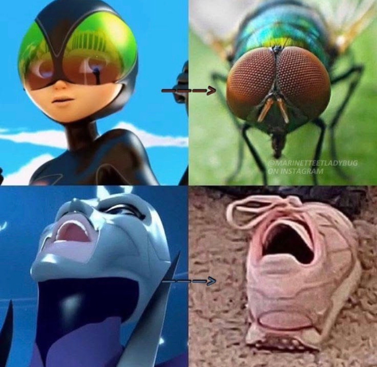@plagg