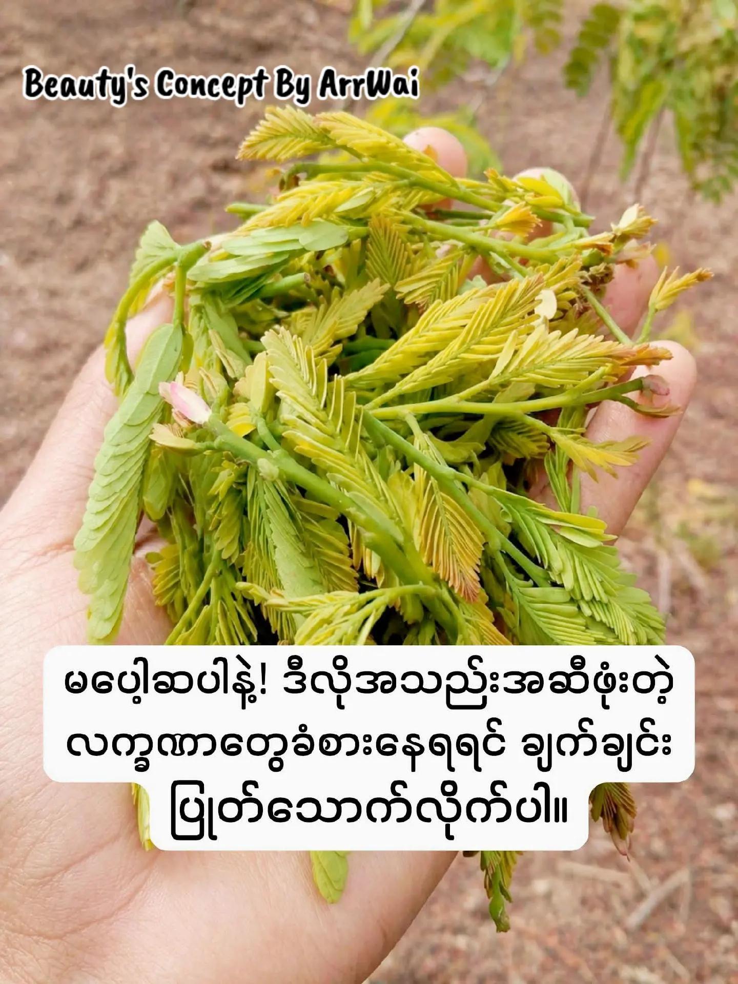 @đđŤđŤ_đđđ˘ đđ¨đŽđŤđ§đđ˛