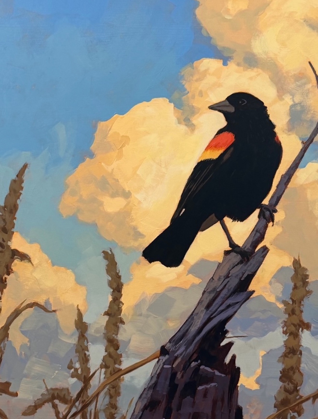 @Jim Musil Painter