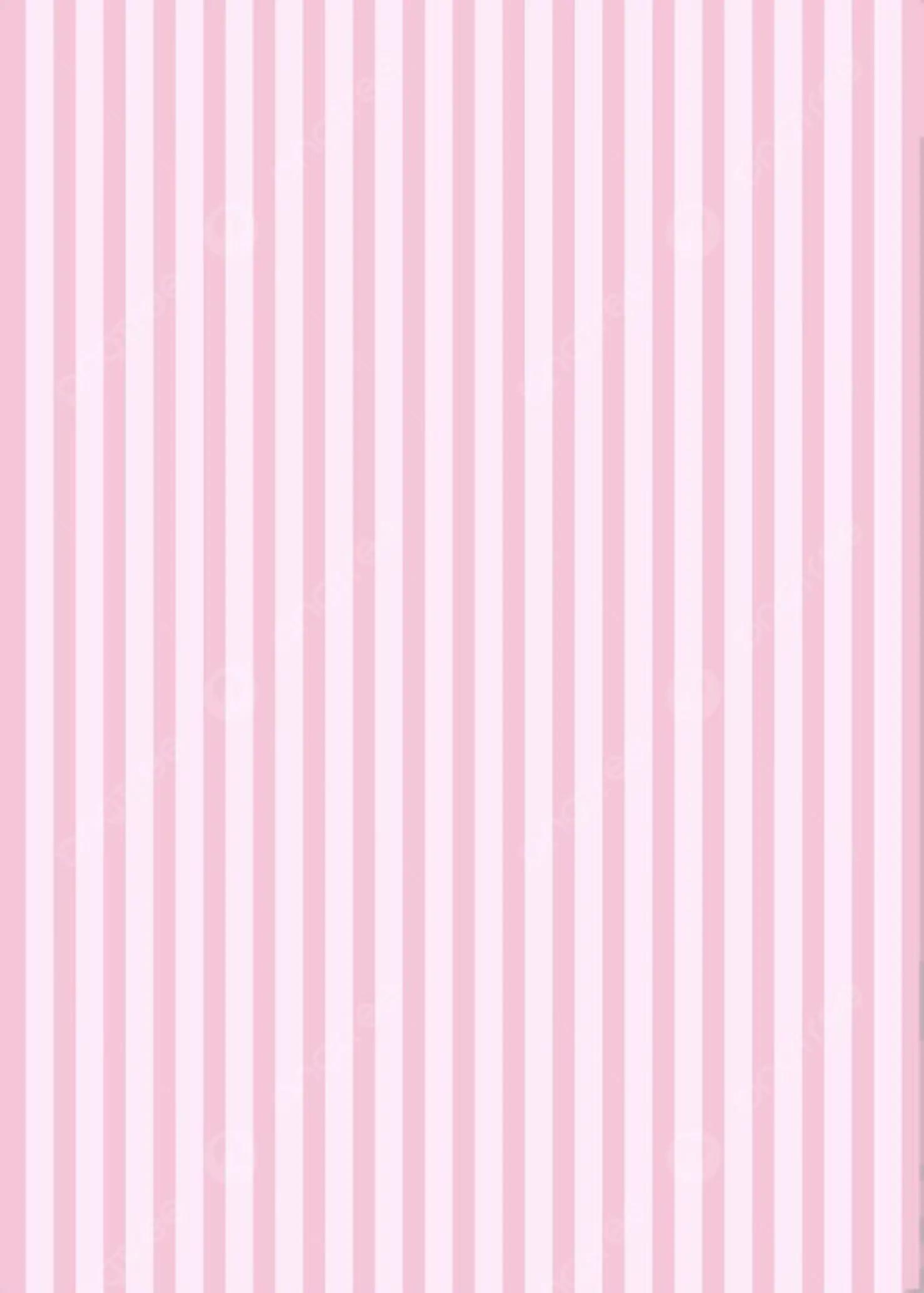 @𝓟𝓸𝓶𝓟𝓸𝓶 ♡
