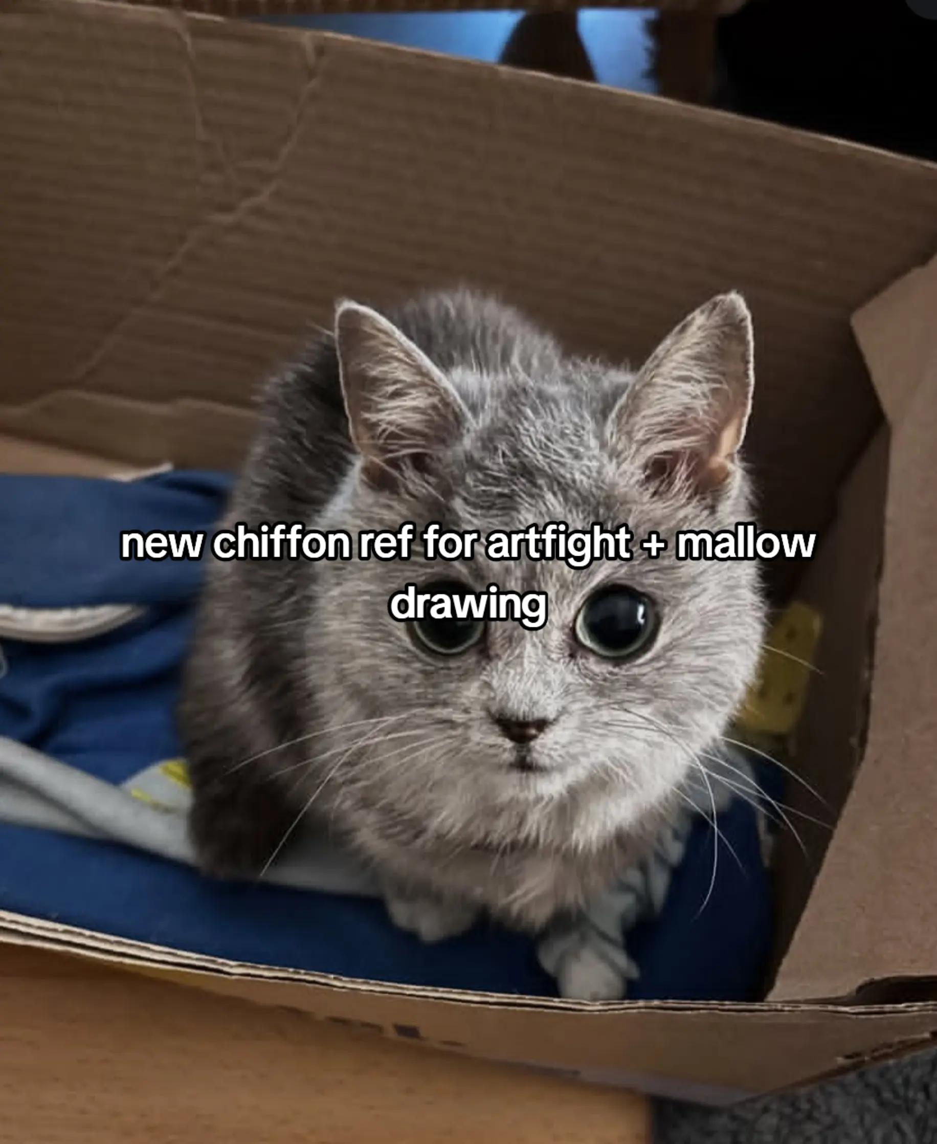 @hi im malcolm
