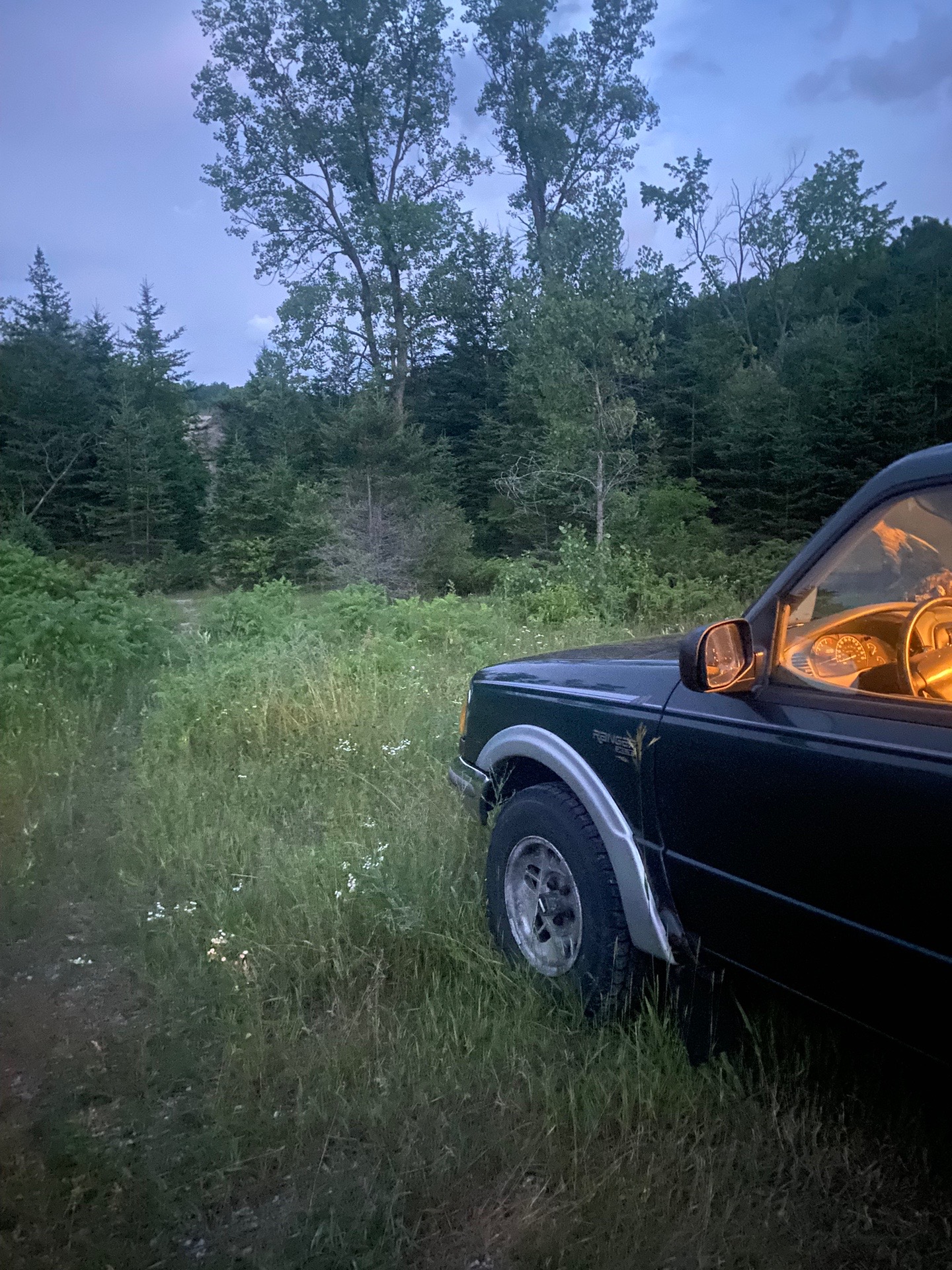 @☦︎ 🌲