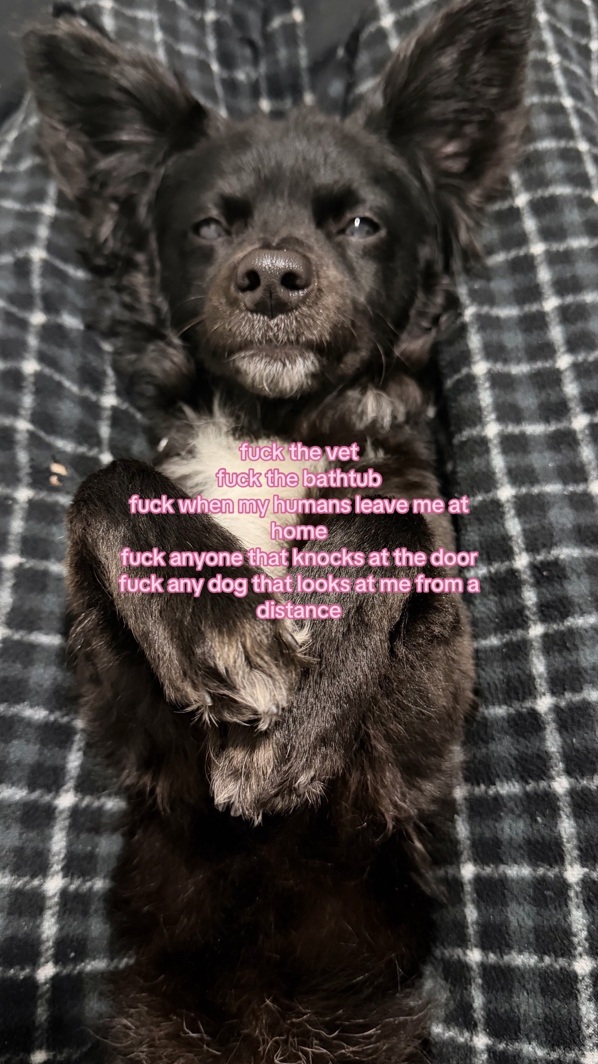 @austinleighh
