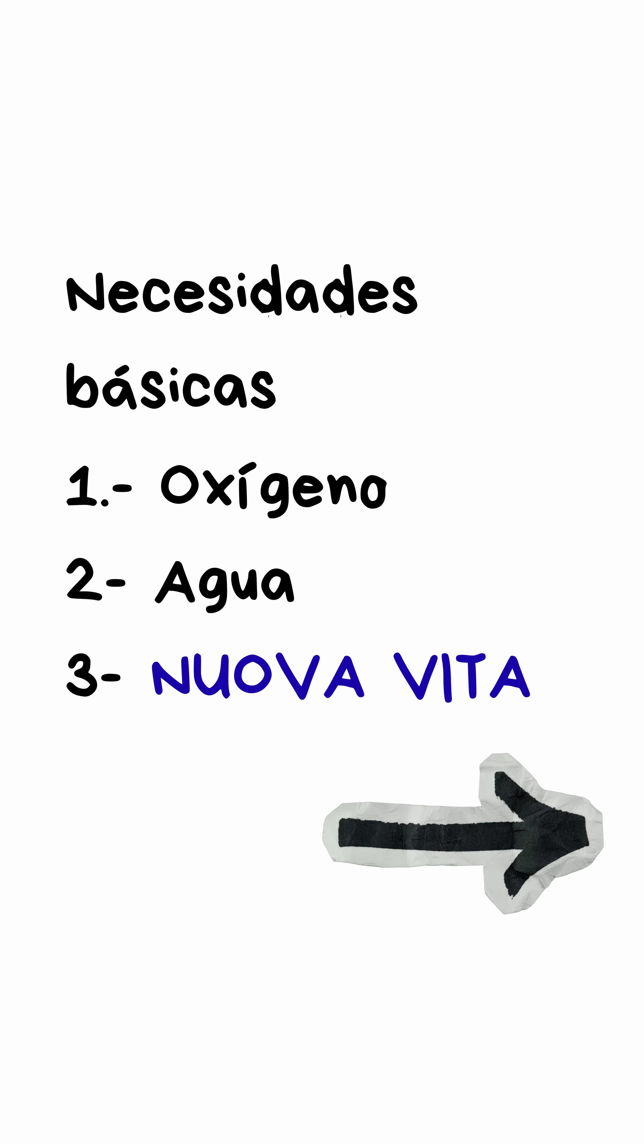 @nuovavitaa