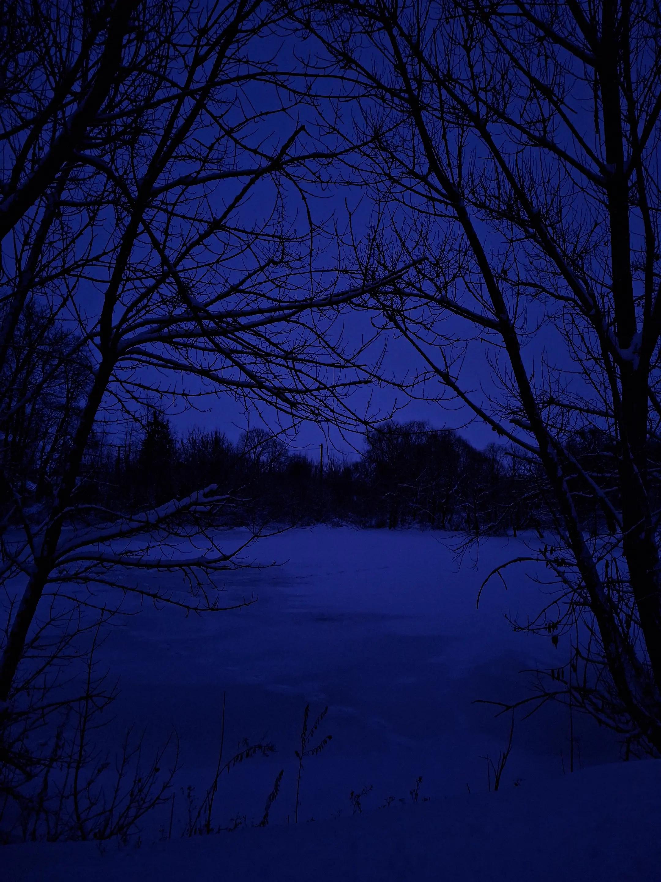 @_Dooko-