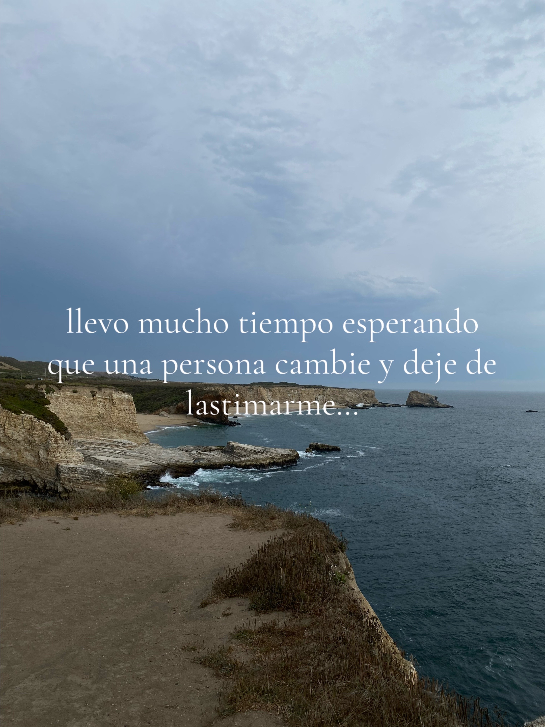 @brii