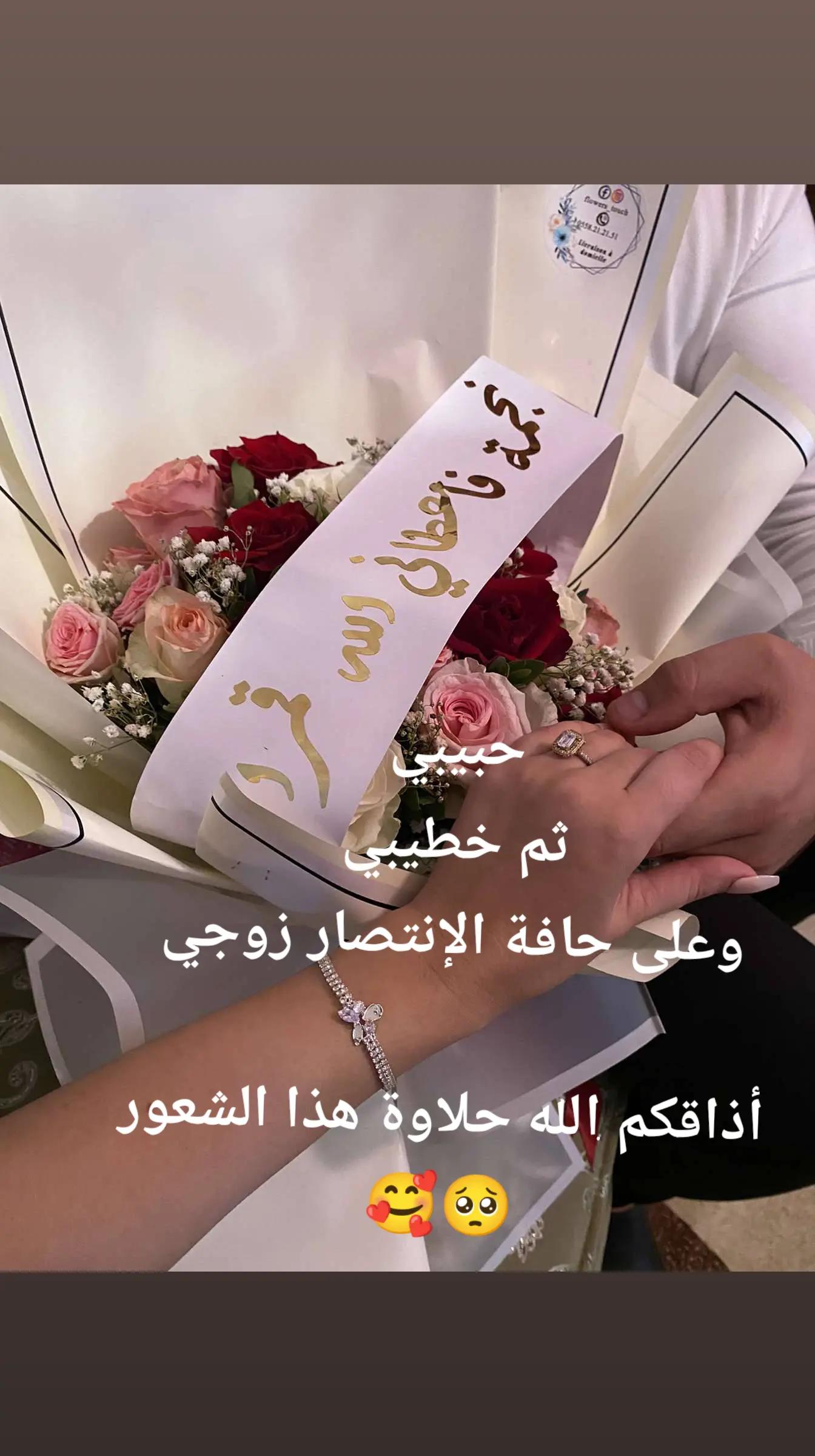@amira mansour