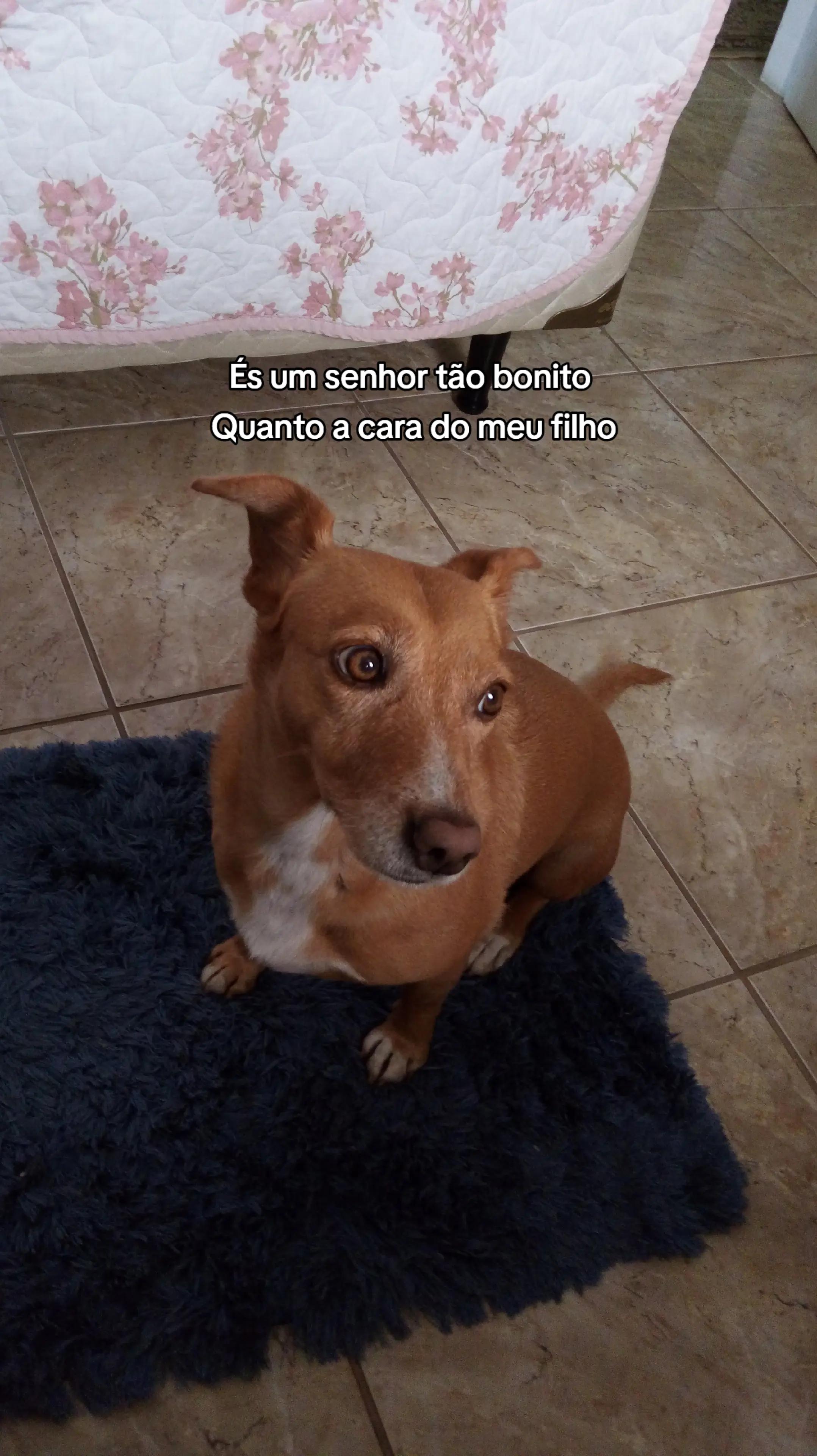 @Ana Carol