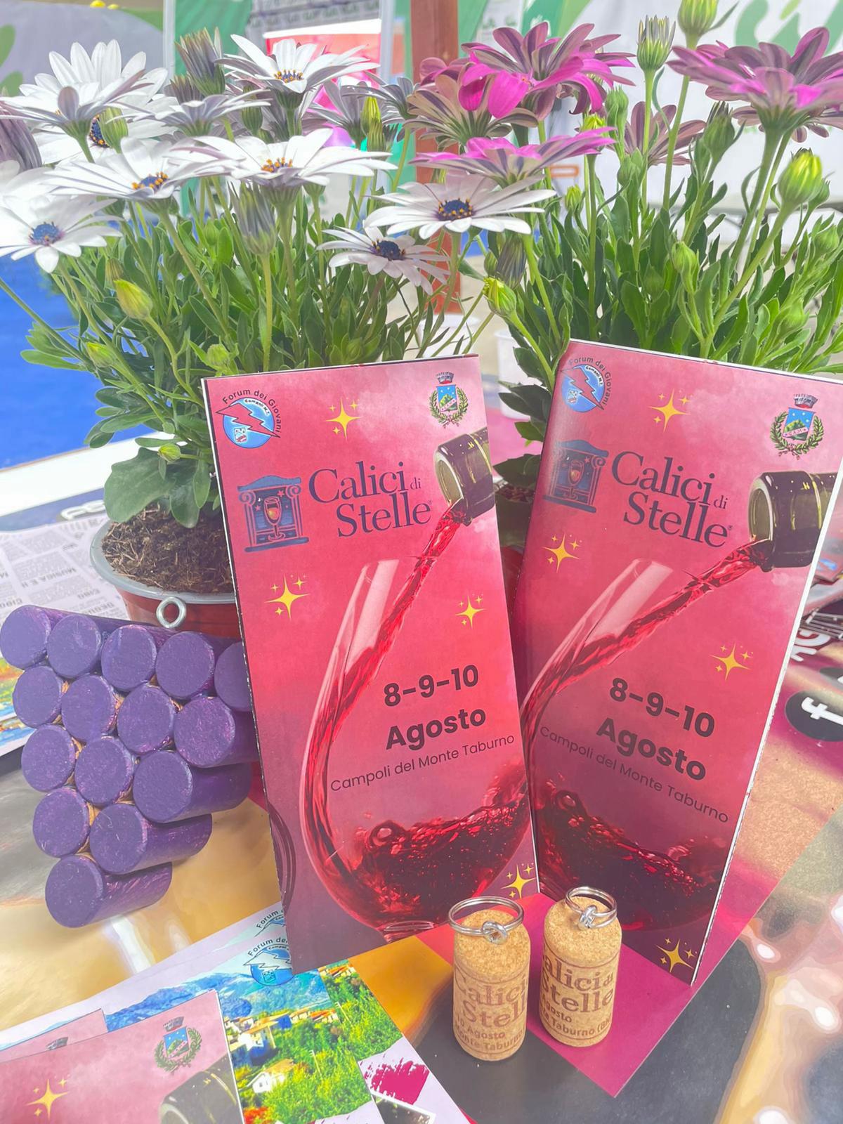 @Calici Di Stelle✨🍇🍷