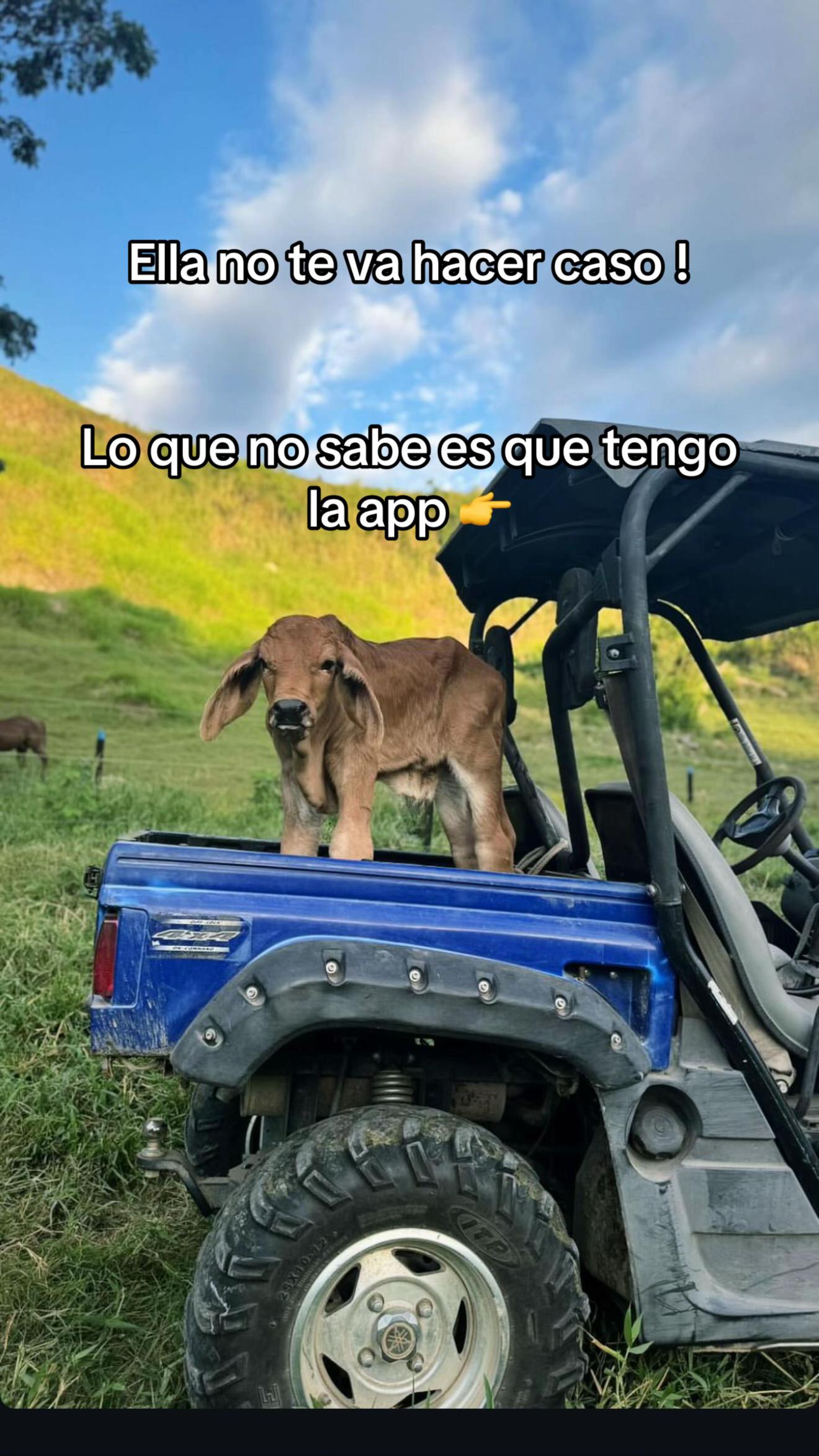@Capo_Zebas333