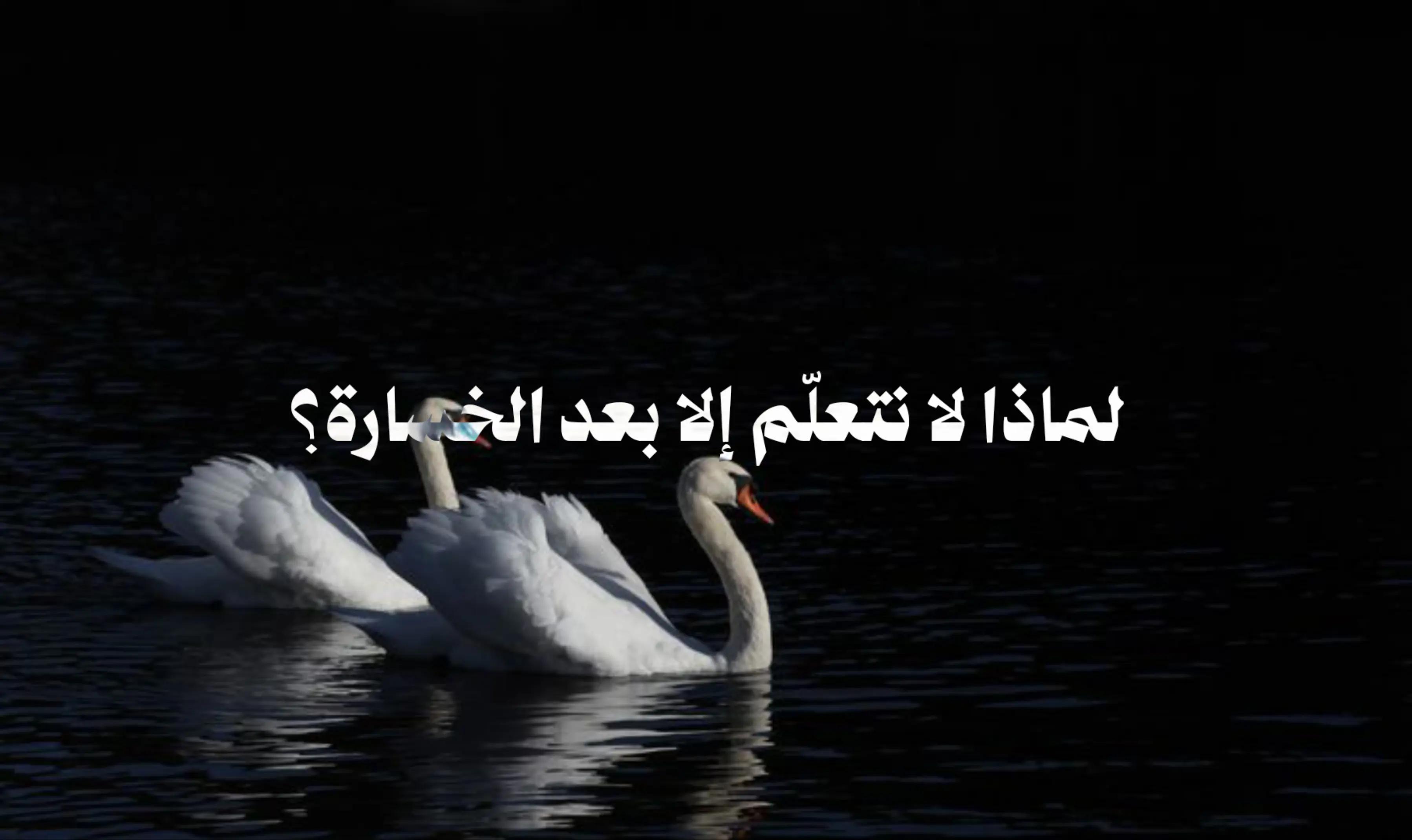 @وهمہ