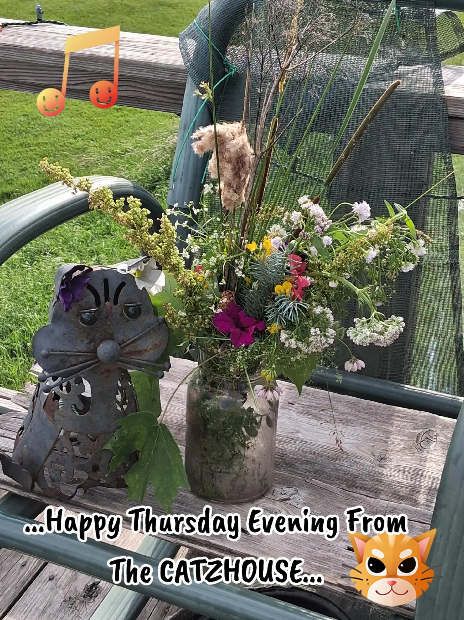 @Booh Hovey crazycatlady3